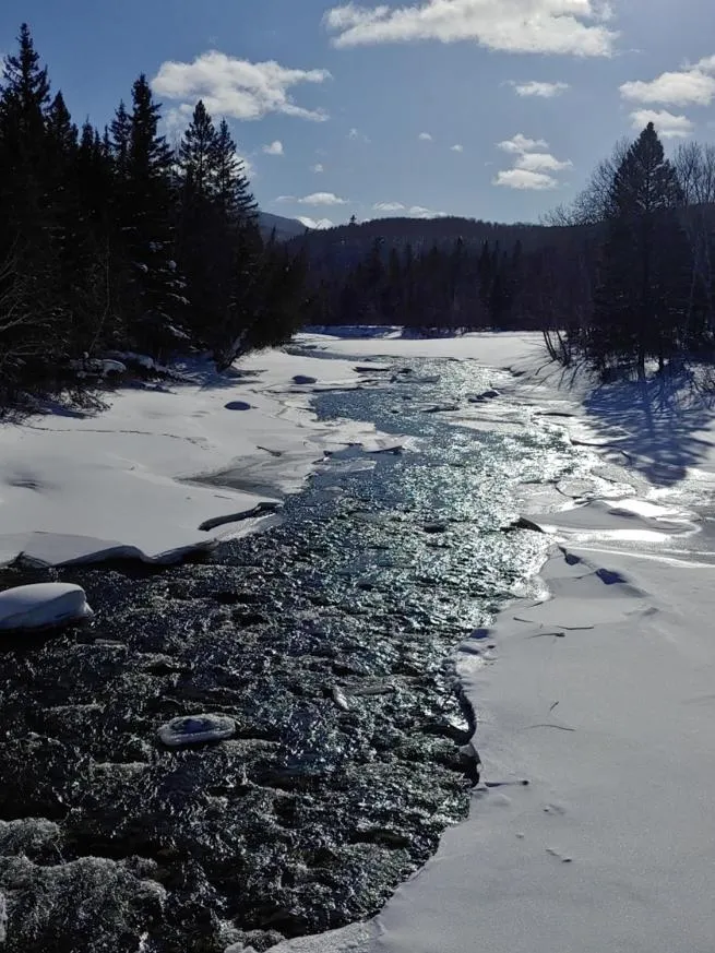 Activities in Motel Nanook