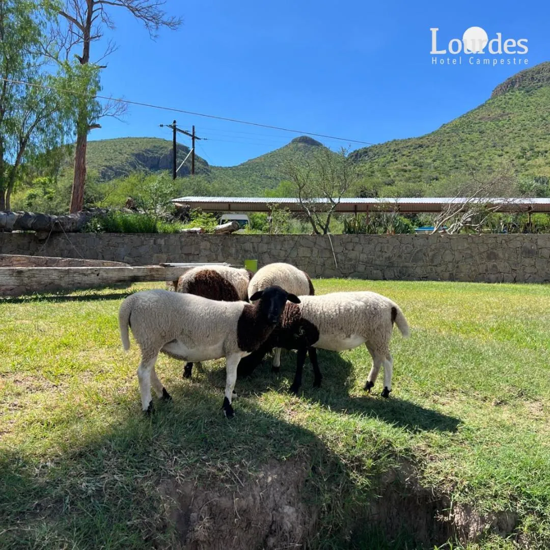 Lourdes Hotel Campestre