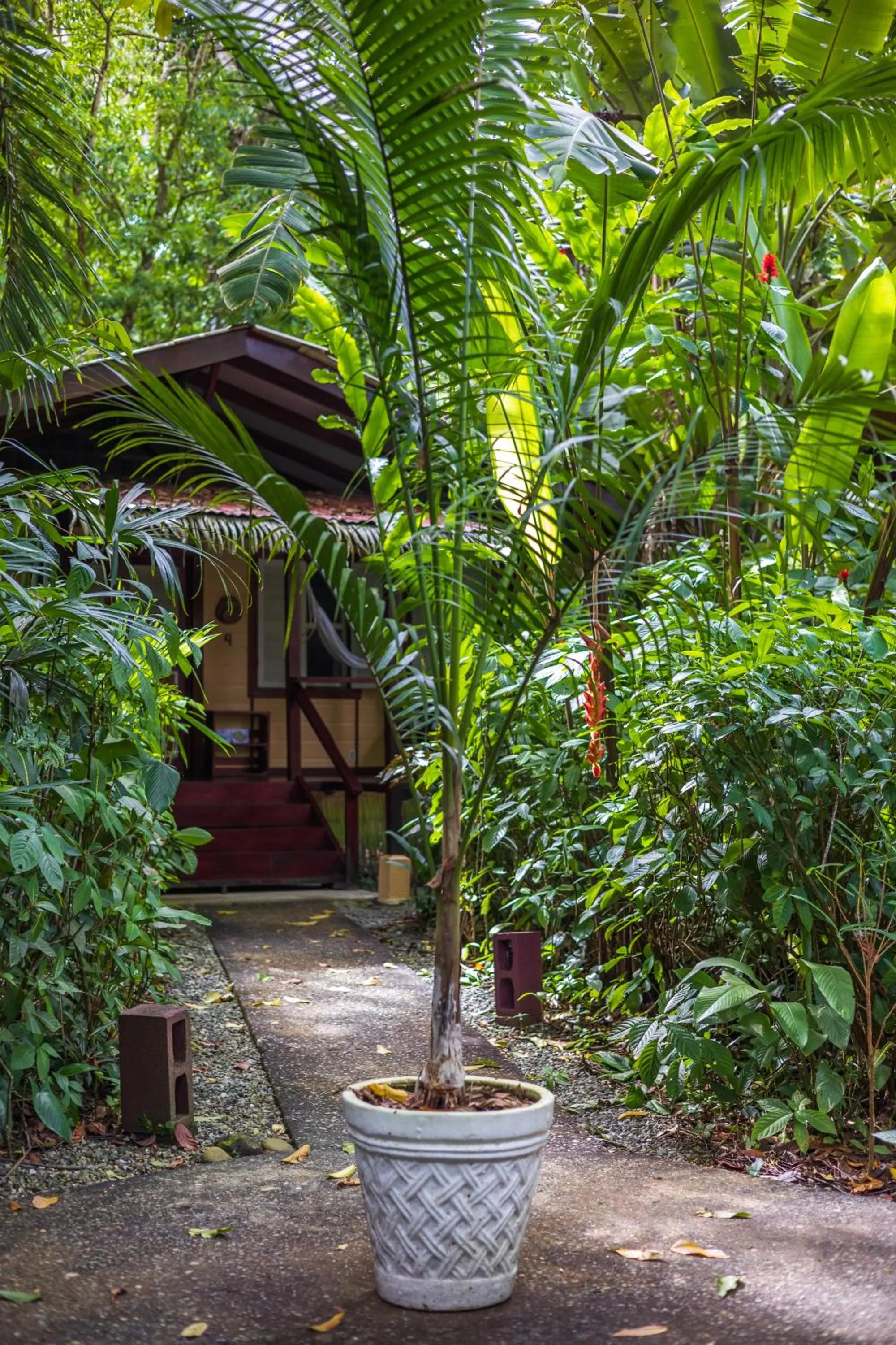 Patio in Namuwoki Lodge