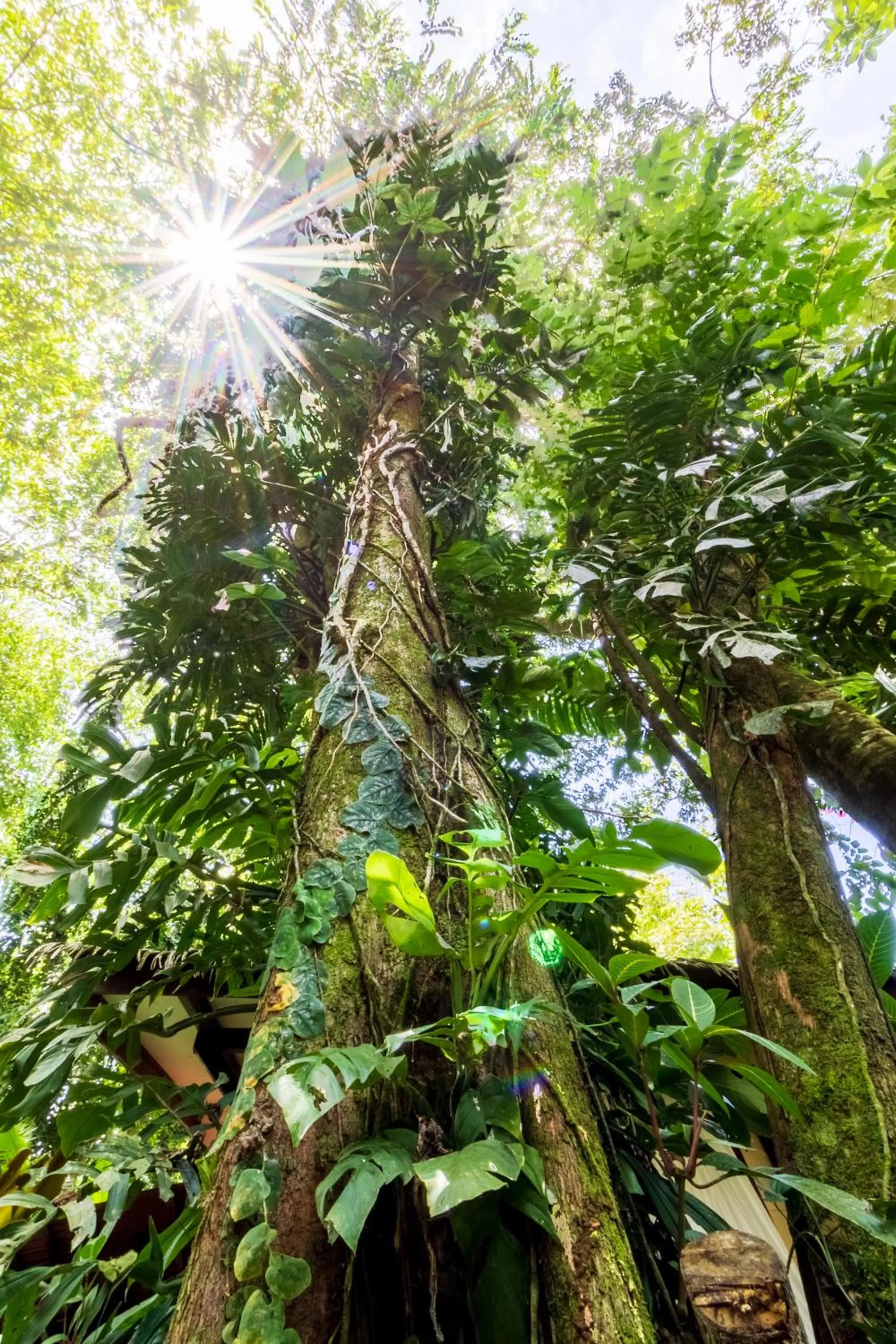 Natural landscape in Namuwoki Lodge