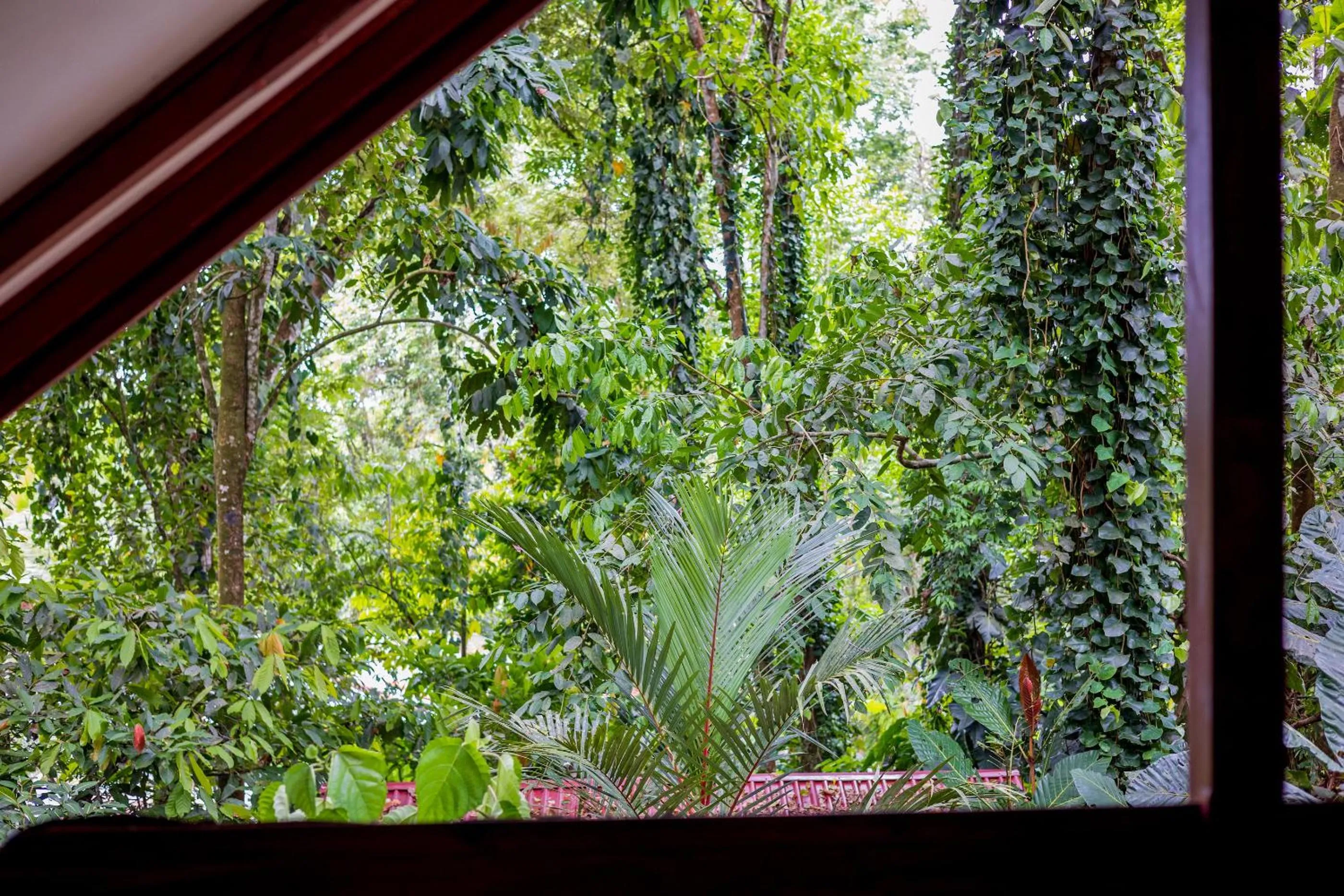 Garden view in Namuwoki Lodge
