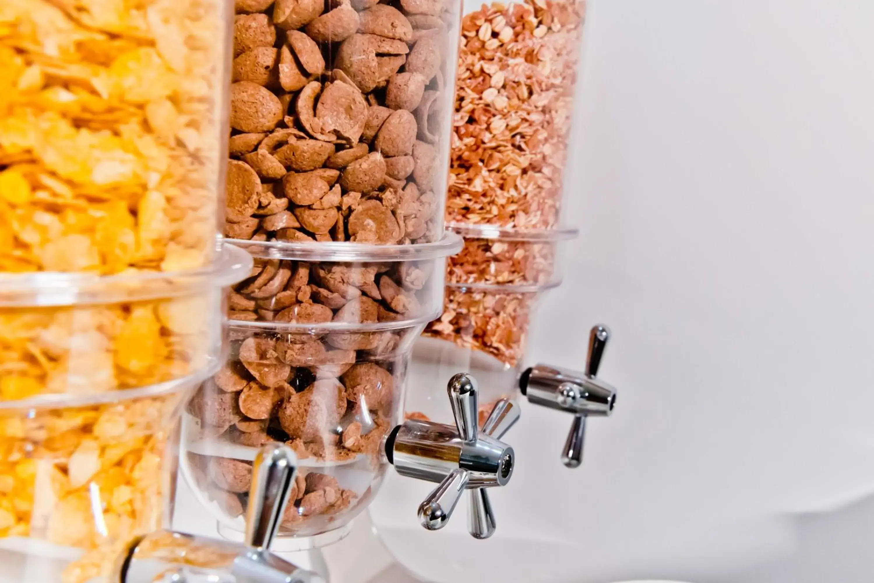 Food in X by Bloom l Manyata Food in X by Bloom l Manyata