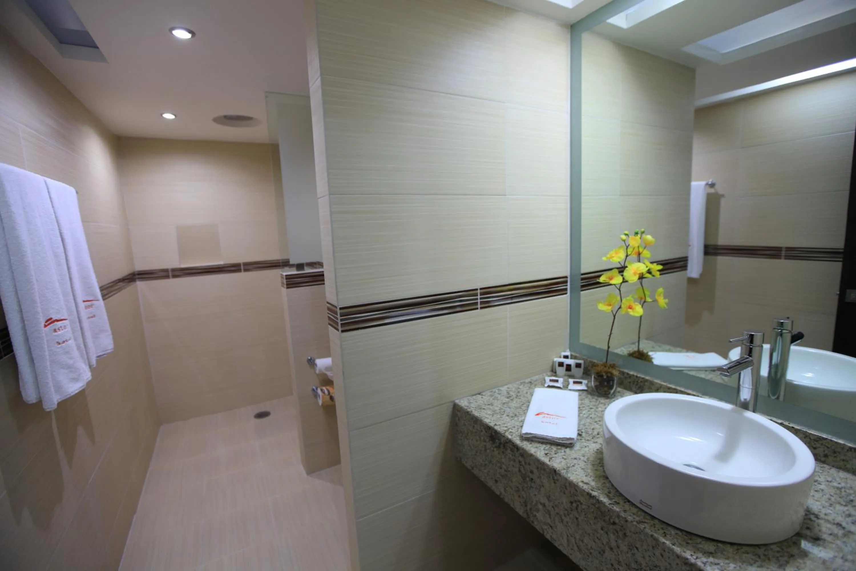 Bathroom in Hotel Astor