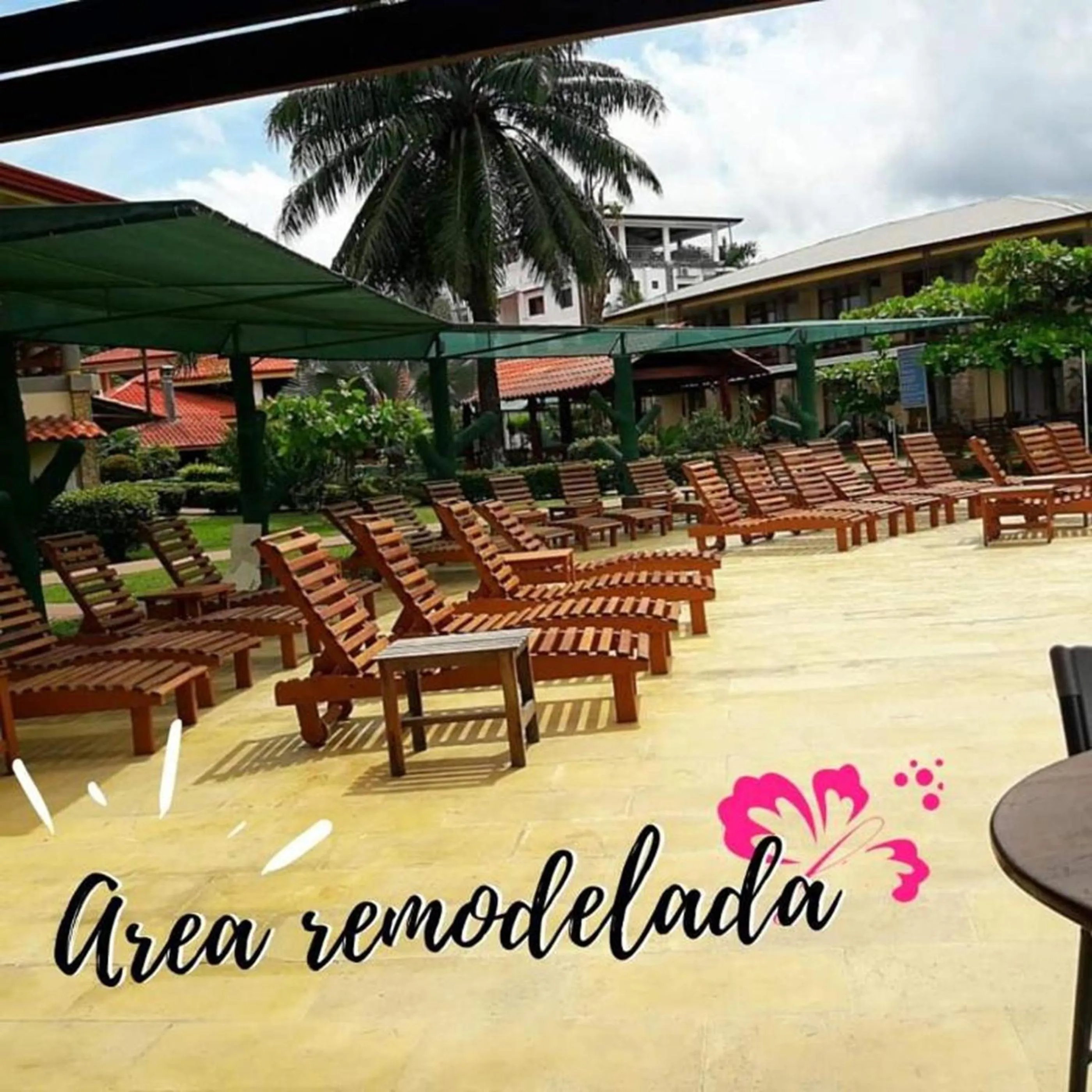 sunbed in Amapola Resort