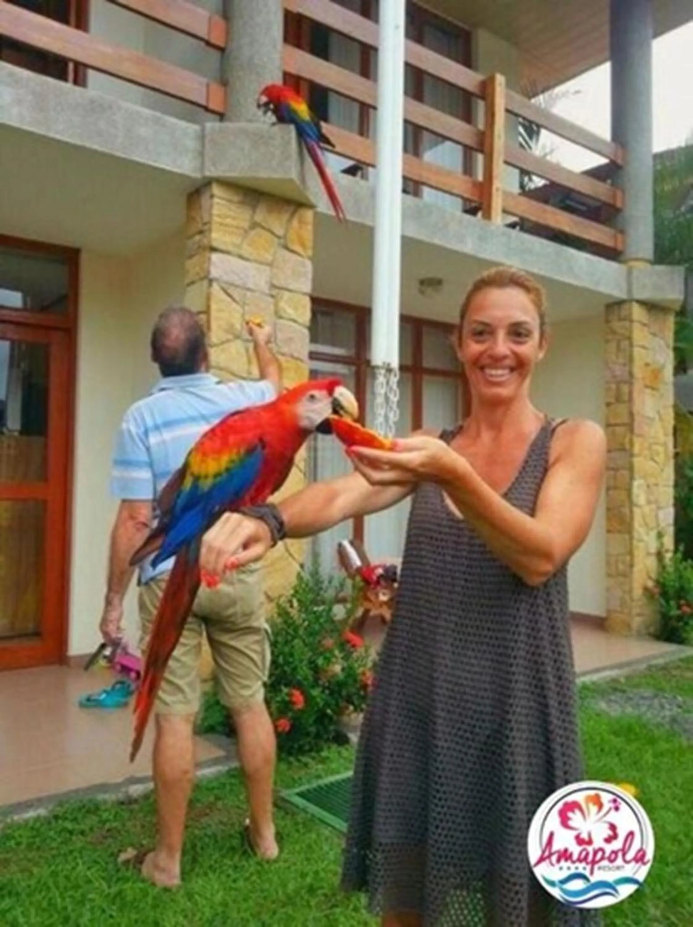 Guests in Amapola Resort