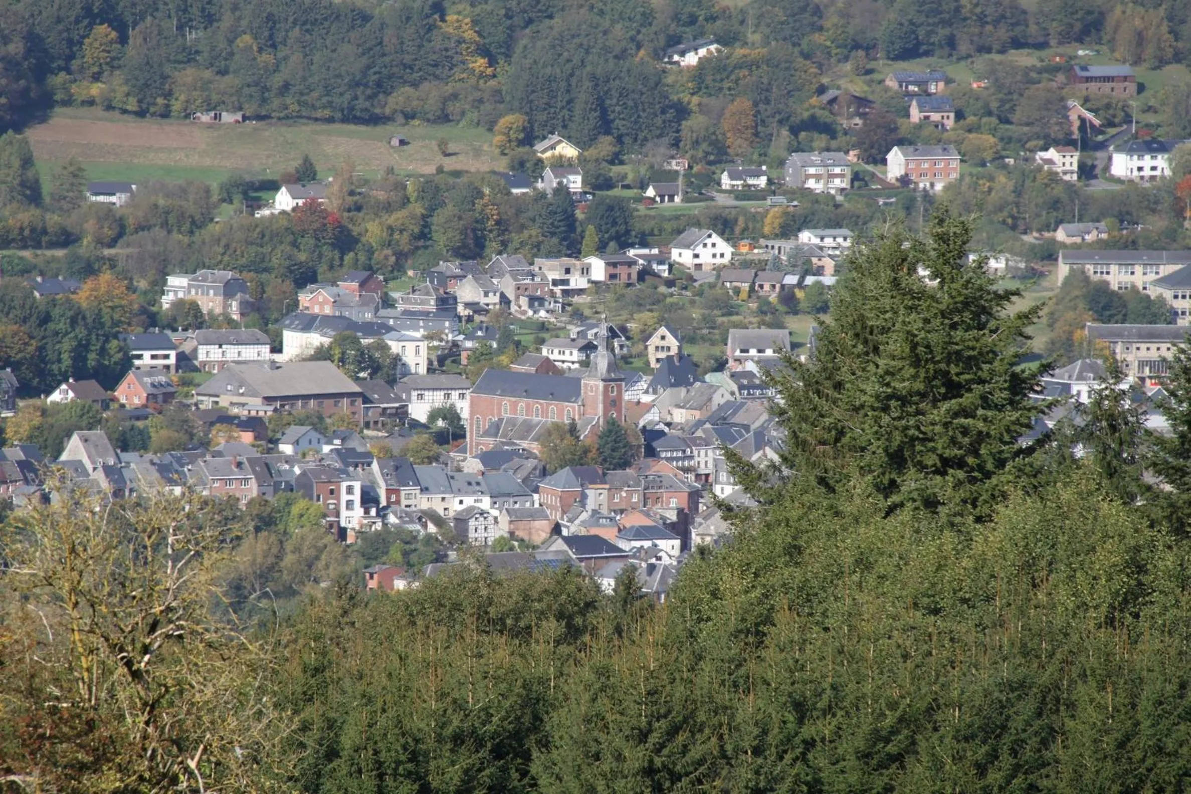 Area and facilities in B&B Sol Magnus
