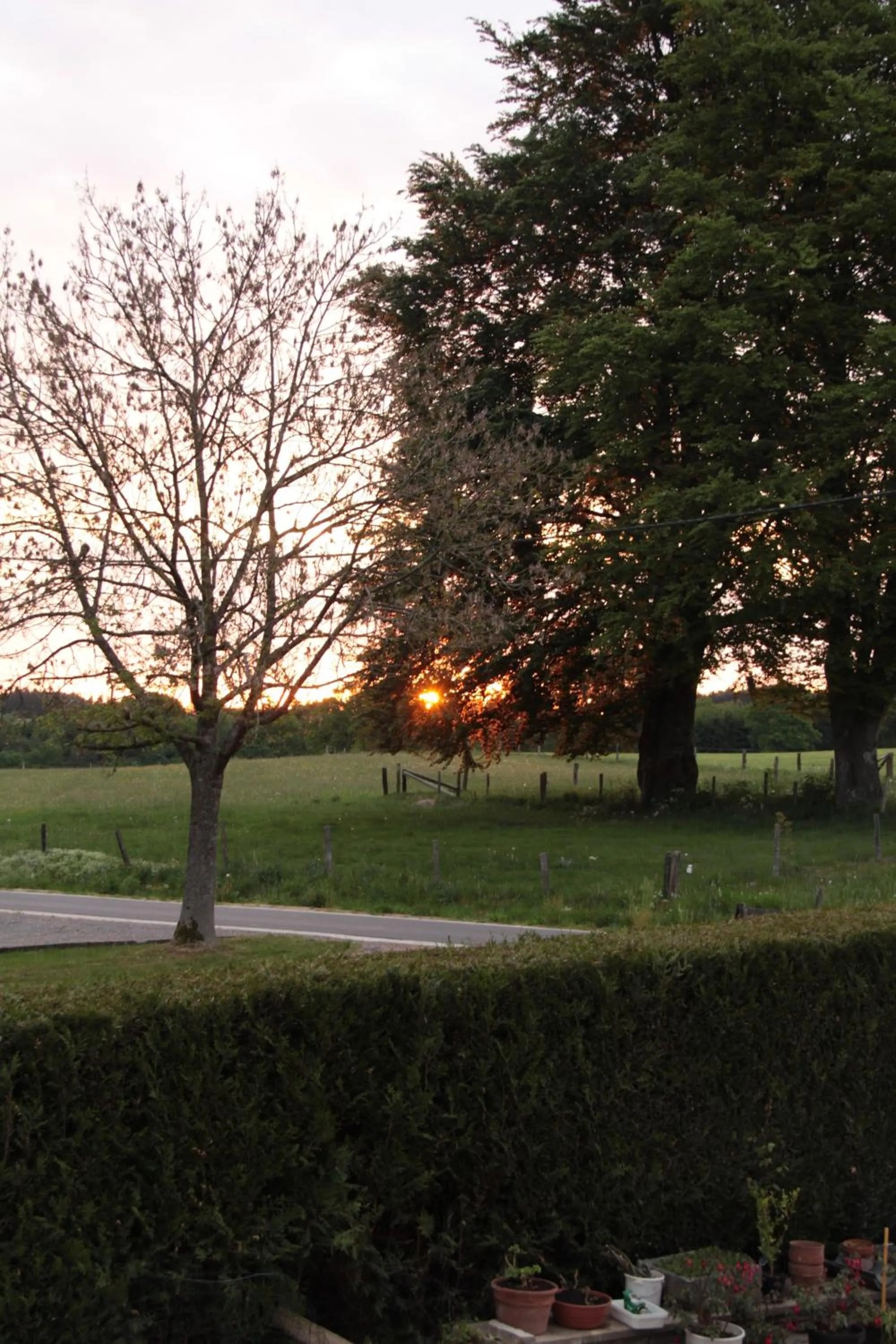 Area and facilities in B&B Sol Magnus