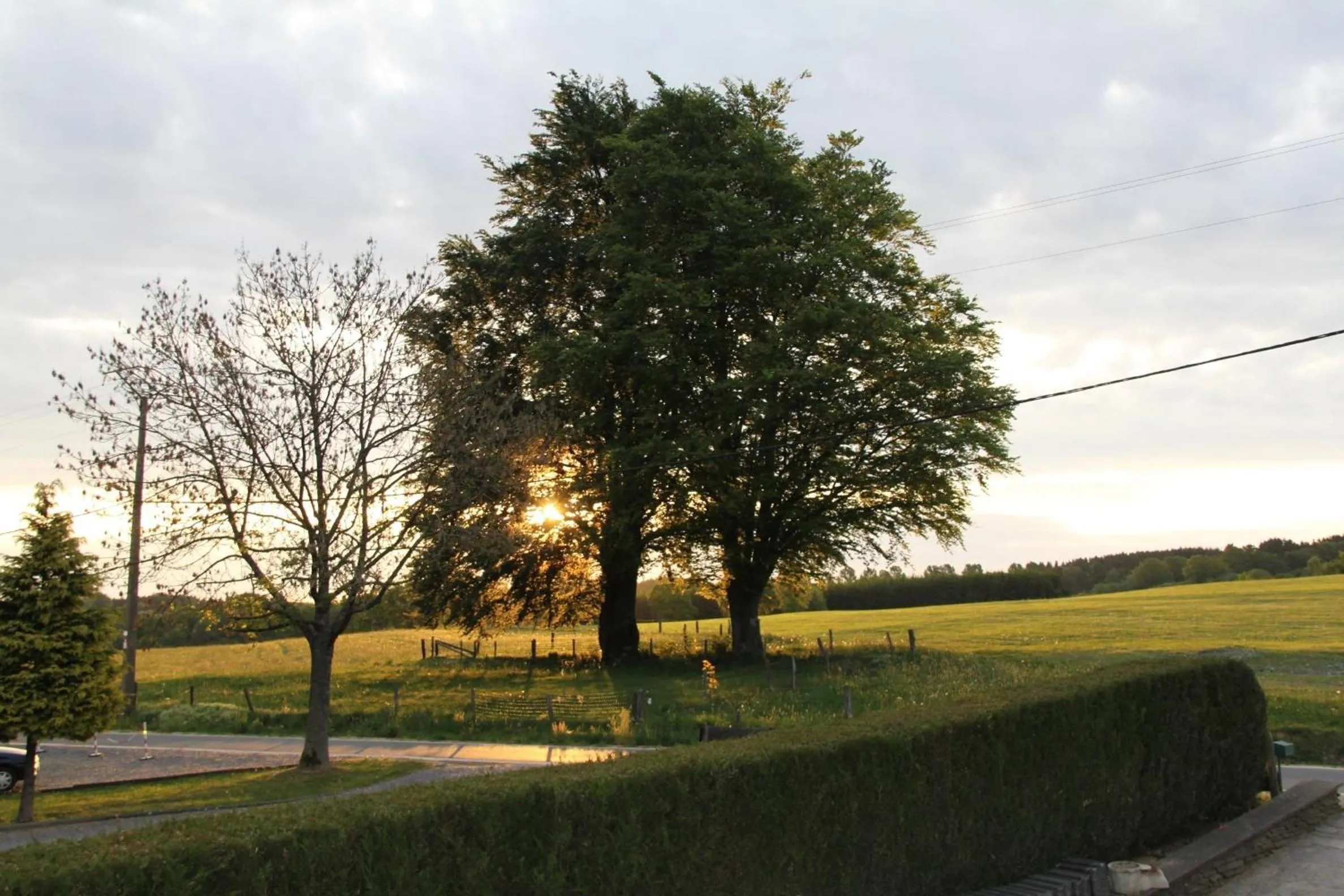 Area and facilities in B&B Sol Magnus
