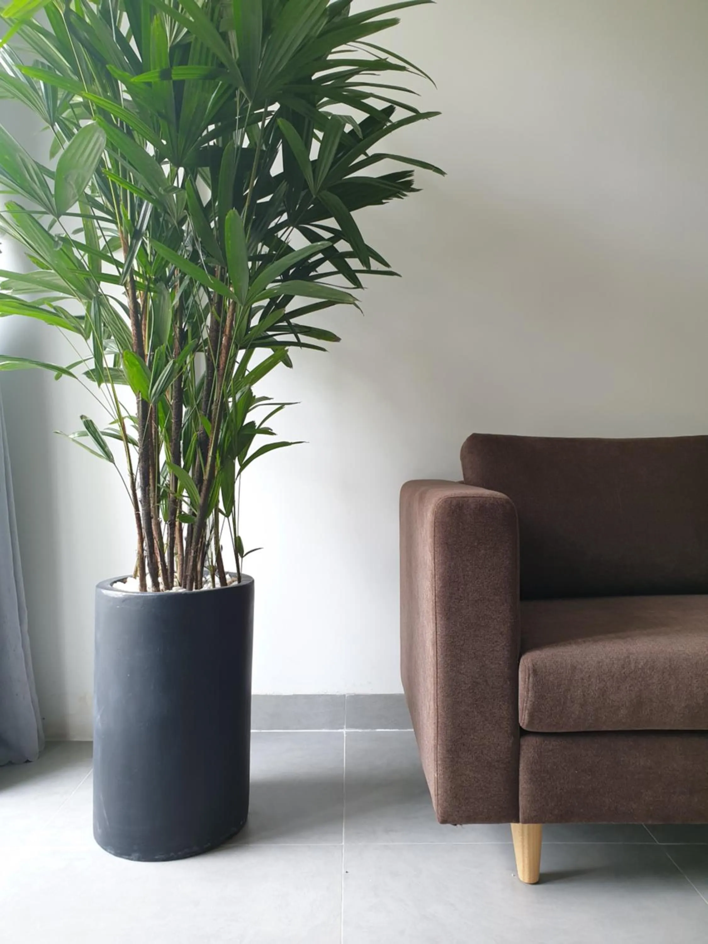 Seating area in Lem's Apartment & Coffee