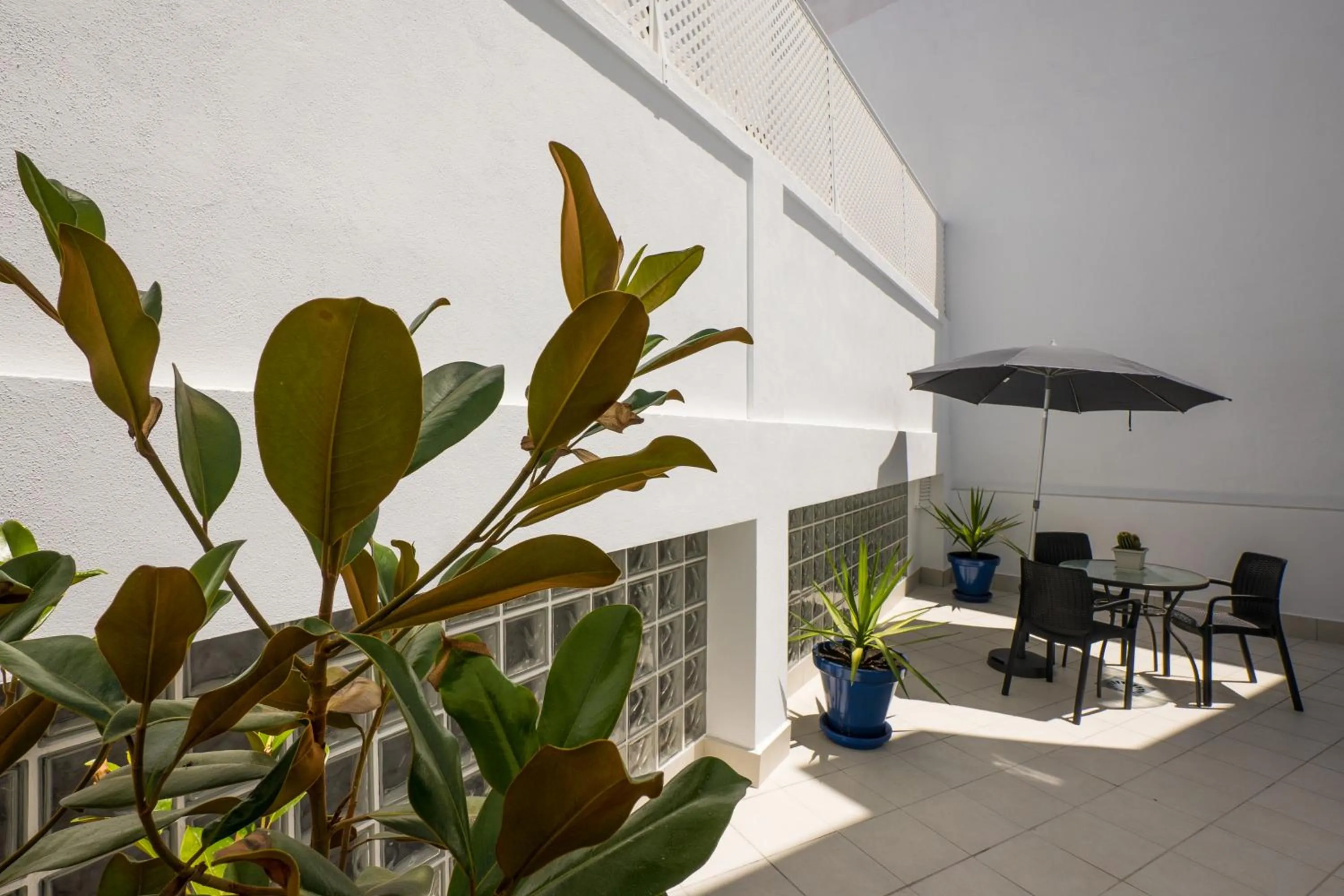 Patio in Apartamentos Mombasa 1 Planta