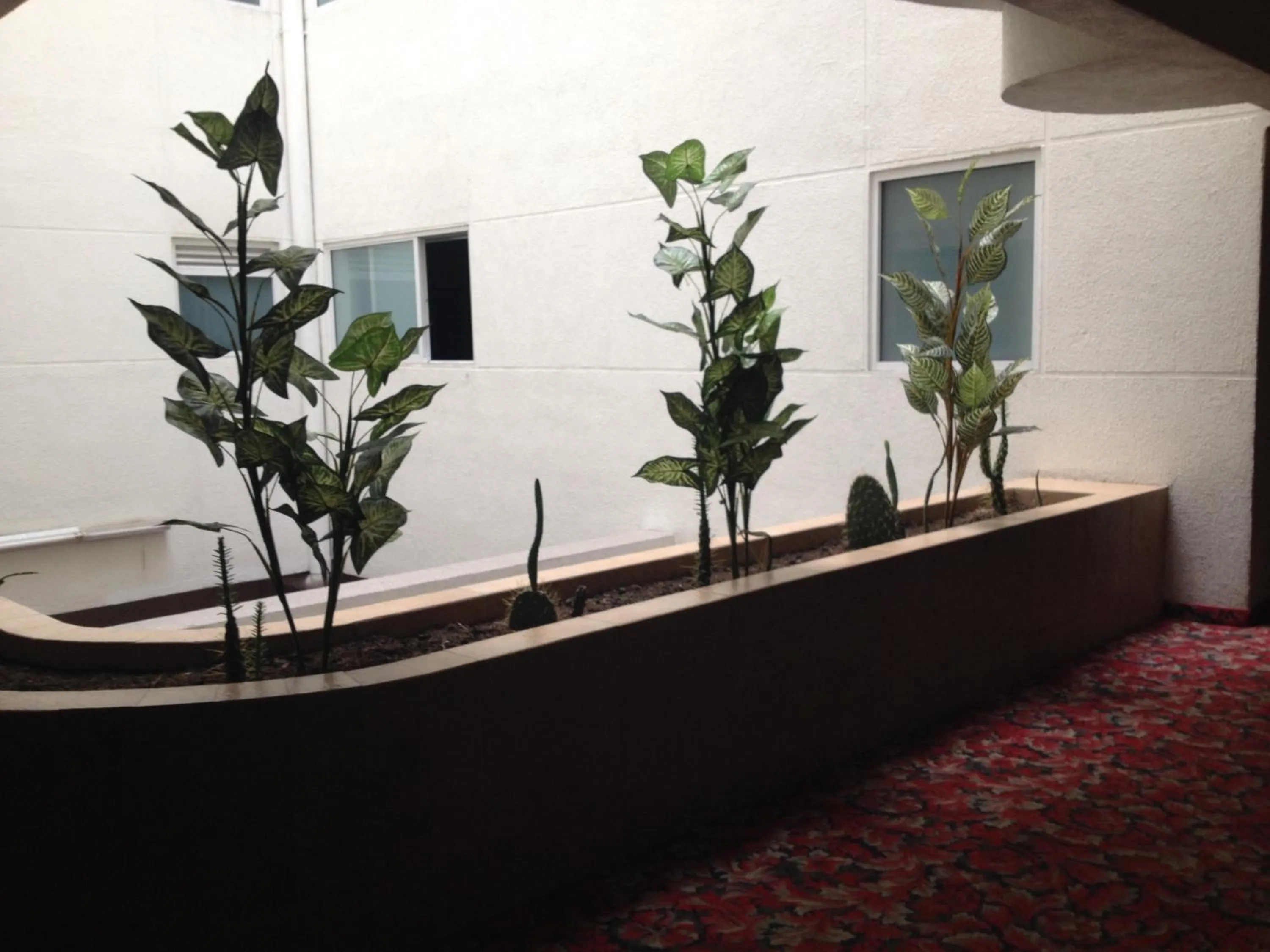 Decorative detail in Hotel Villa de Madrid