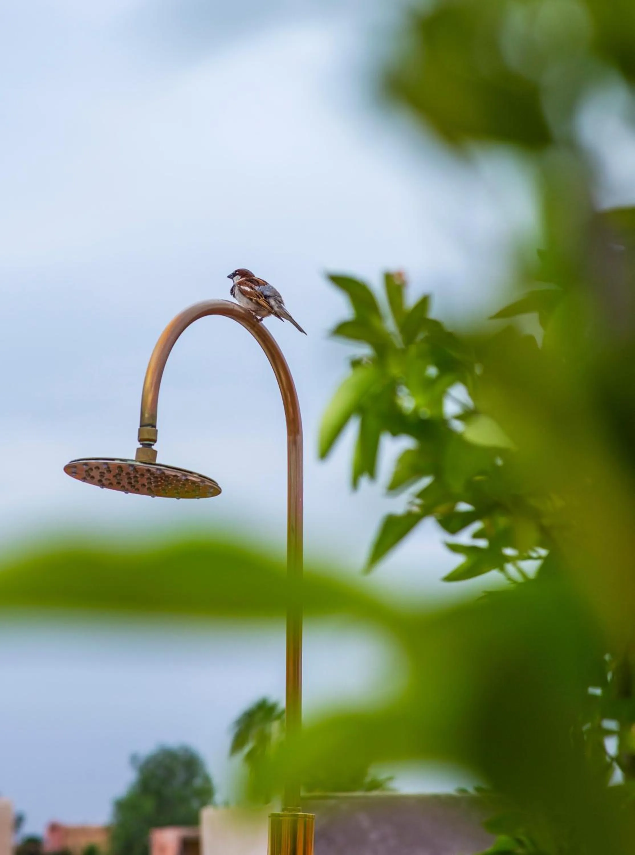 Shower in Riad Tajania