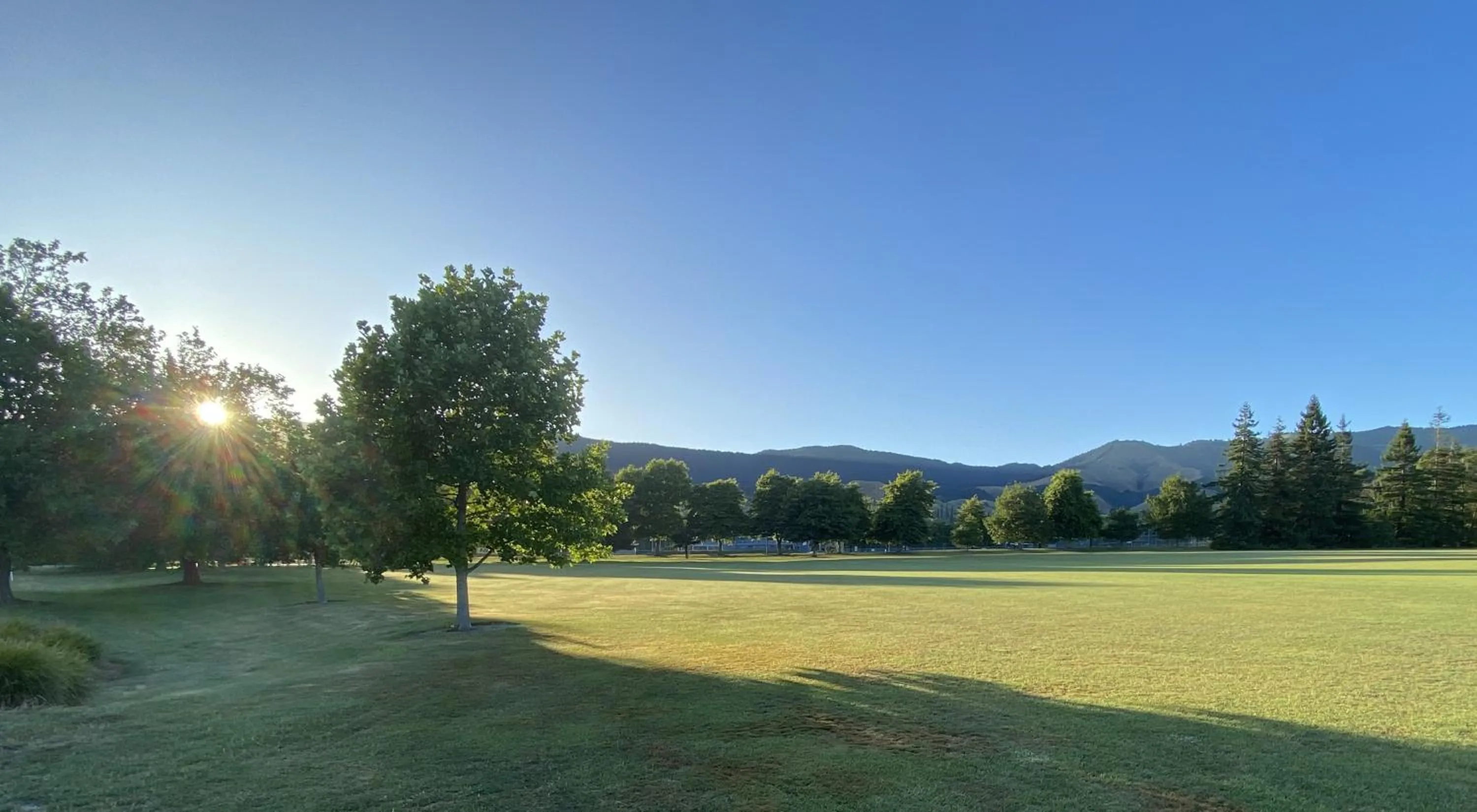 Neighbourhood in Saxton Lodge