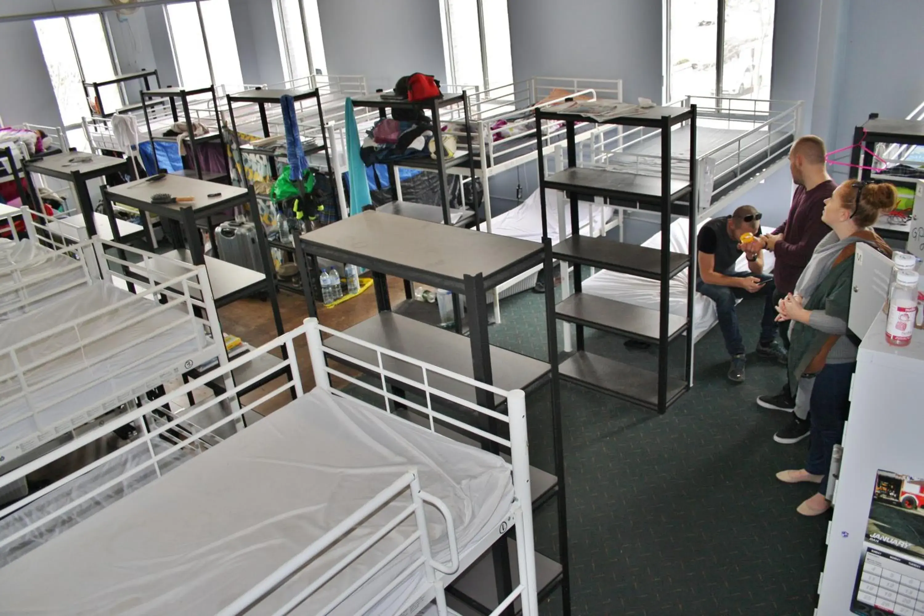 bunk bed in The Hive Hostel