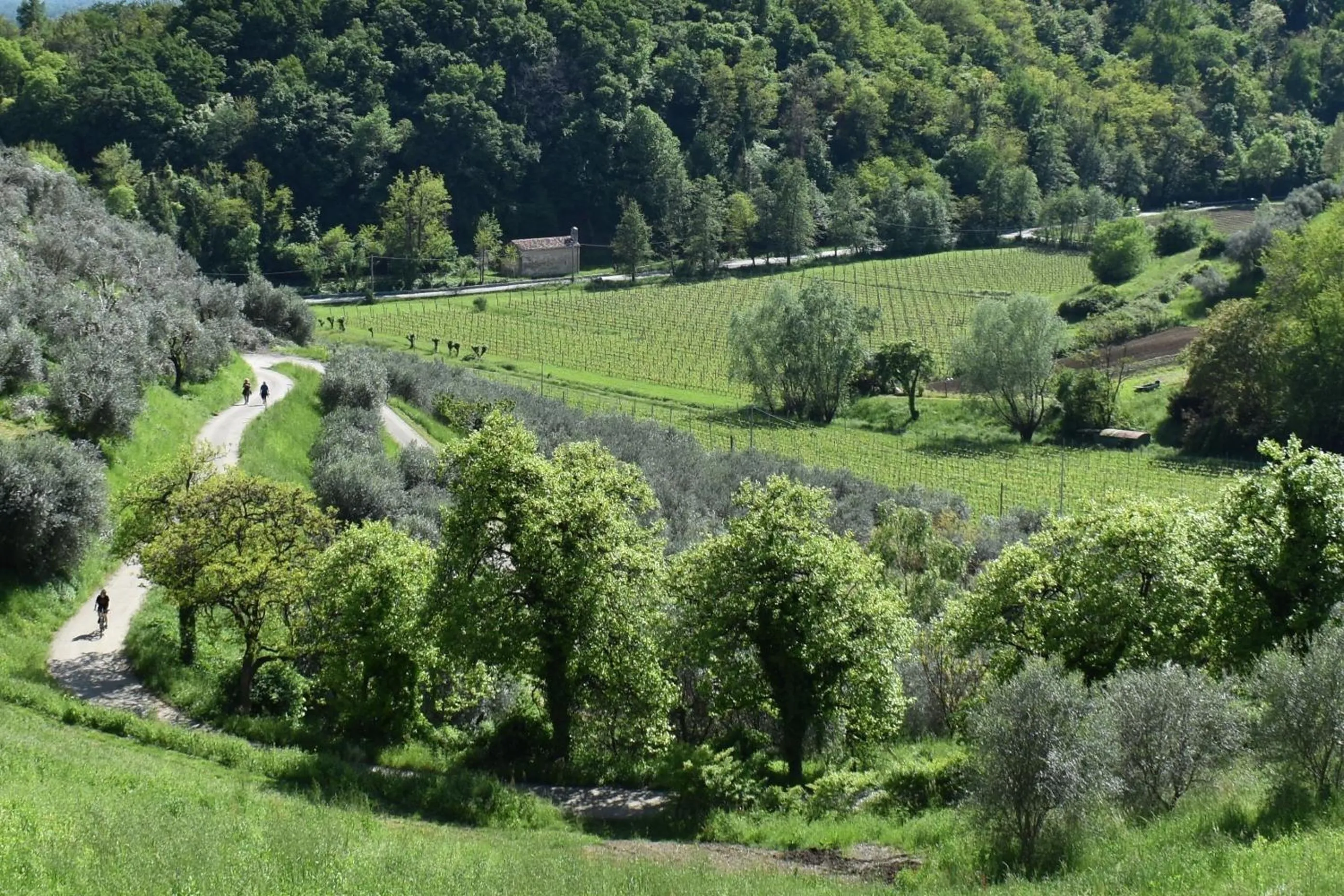 Natural landscape in Villa Lovi
