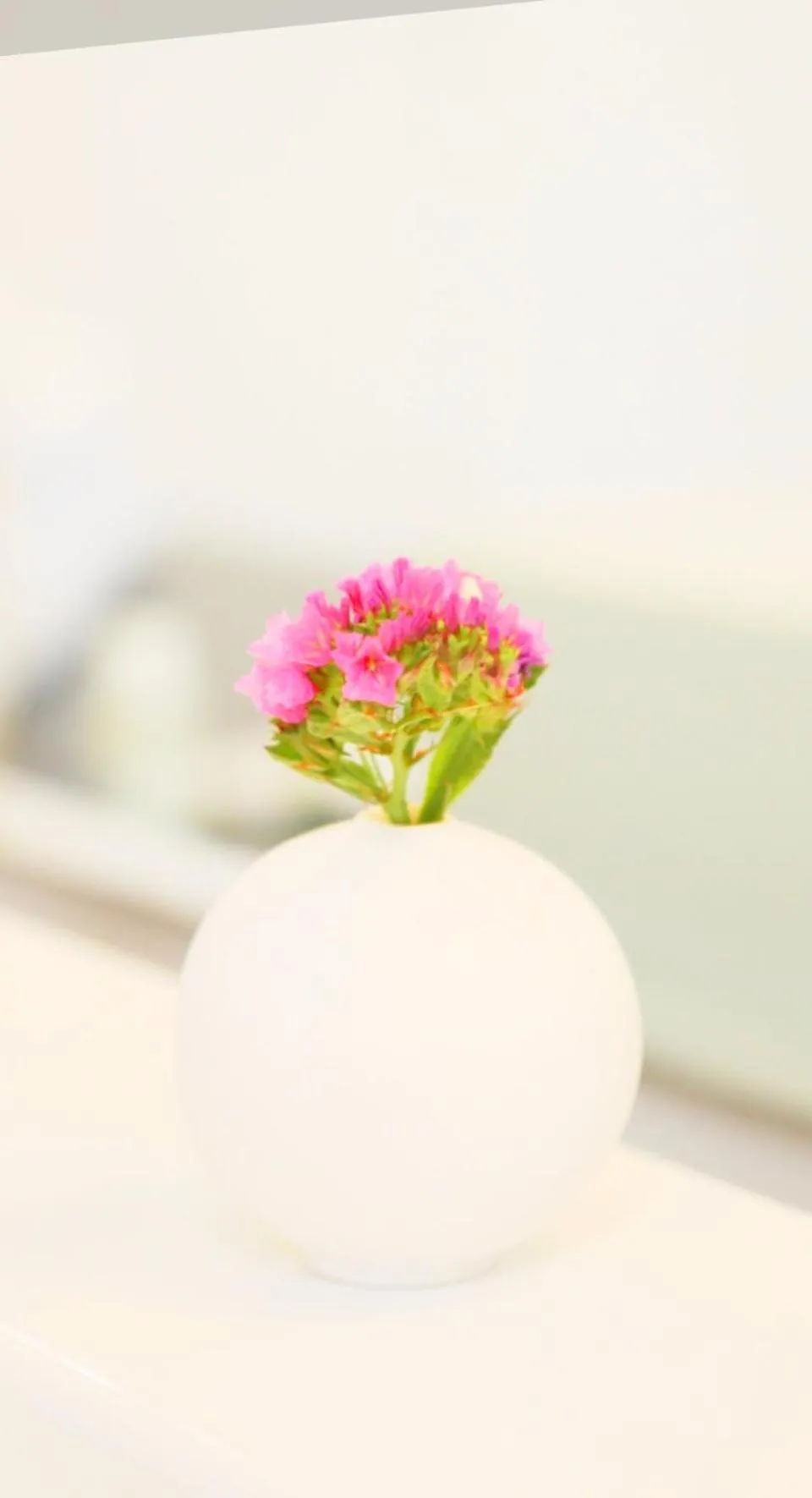 Decorative detail in Greifensteiner Hof