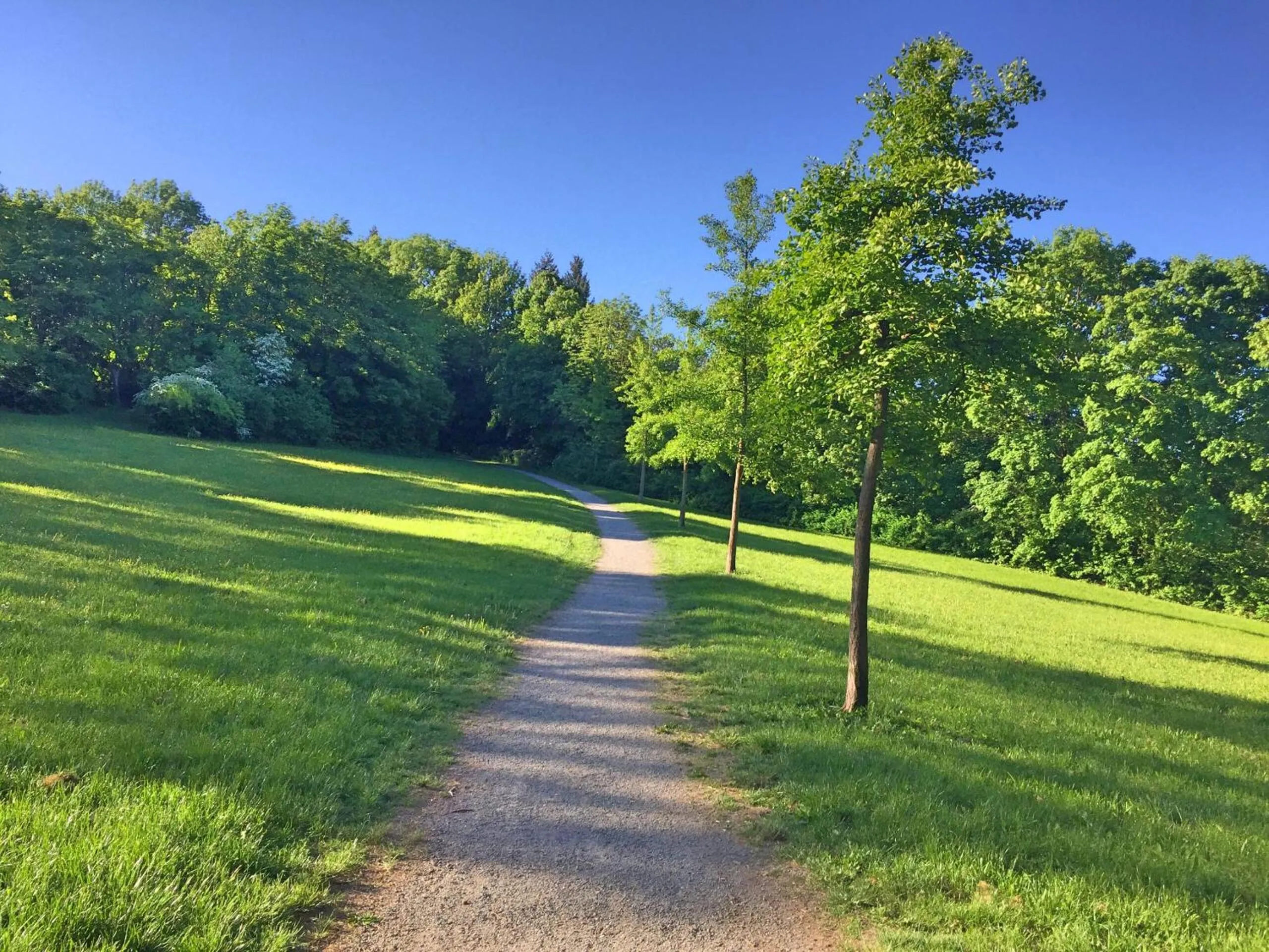 Nearby landmark in Greifensteiner Hof