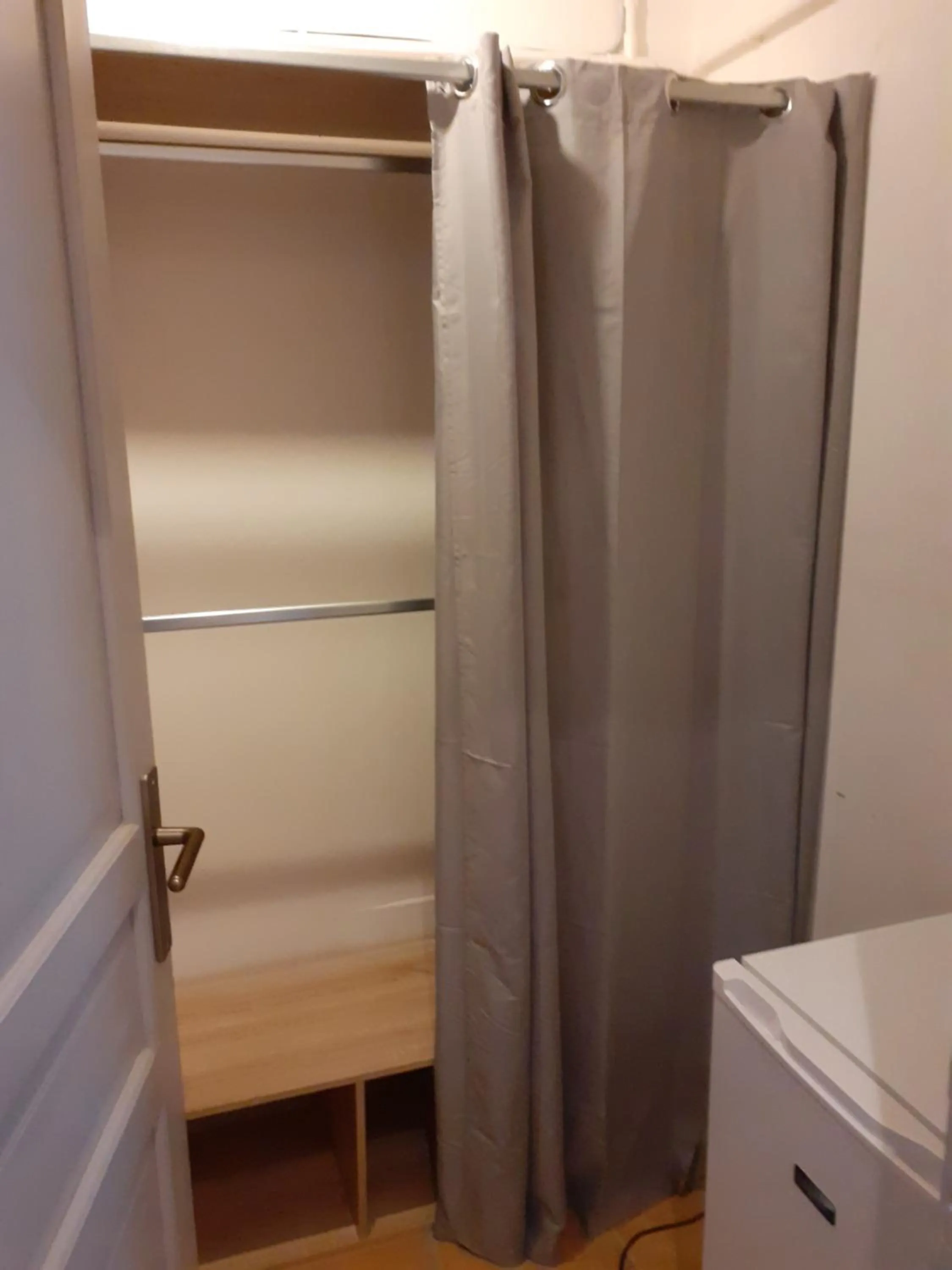 frederique lavande bleue