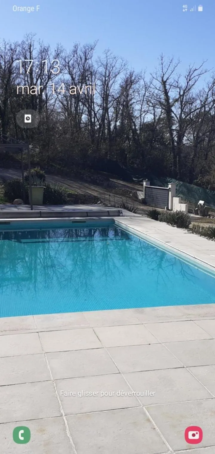 frederique lavande bleue