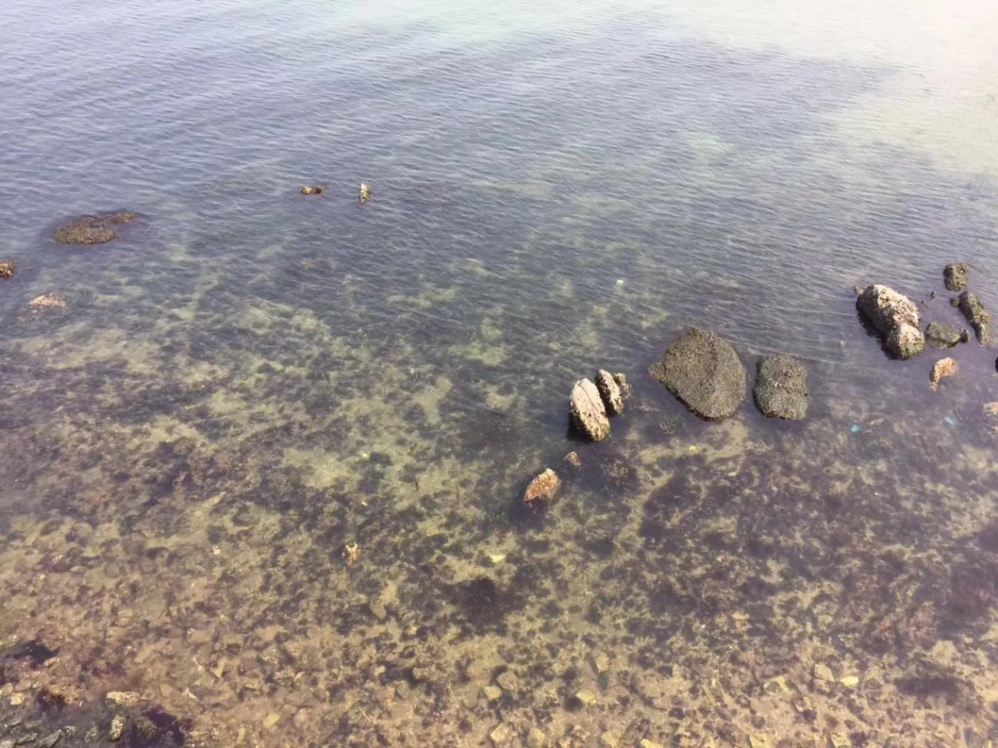 Bird's-eye View in Golden Gulf Hotel Yantai