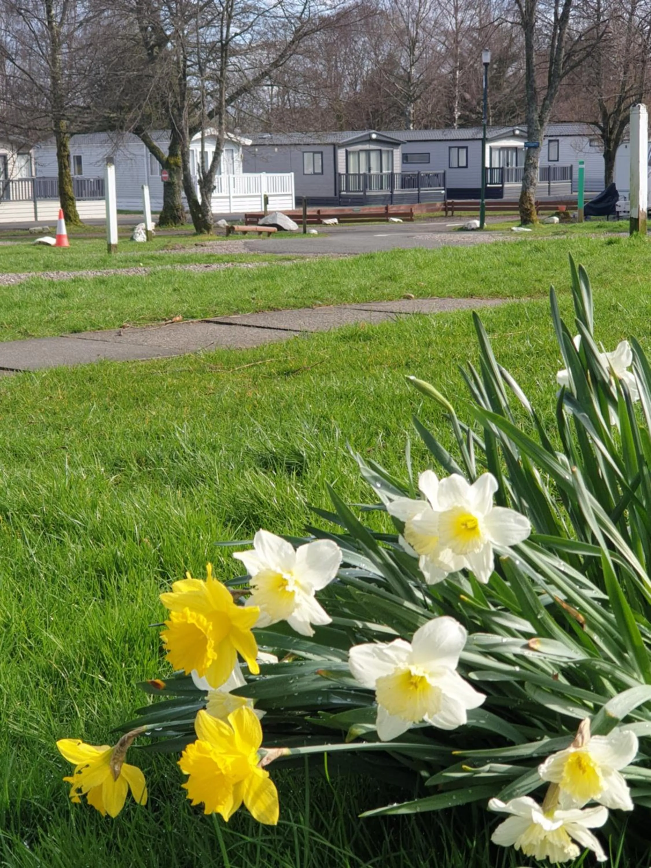 Lomond Woods Holiday Park