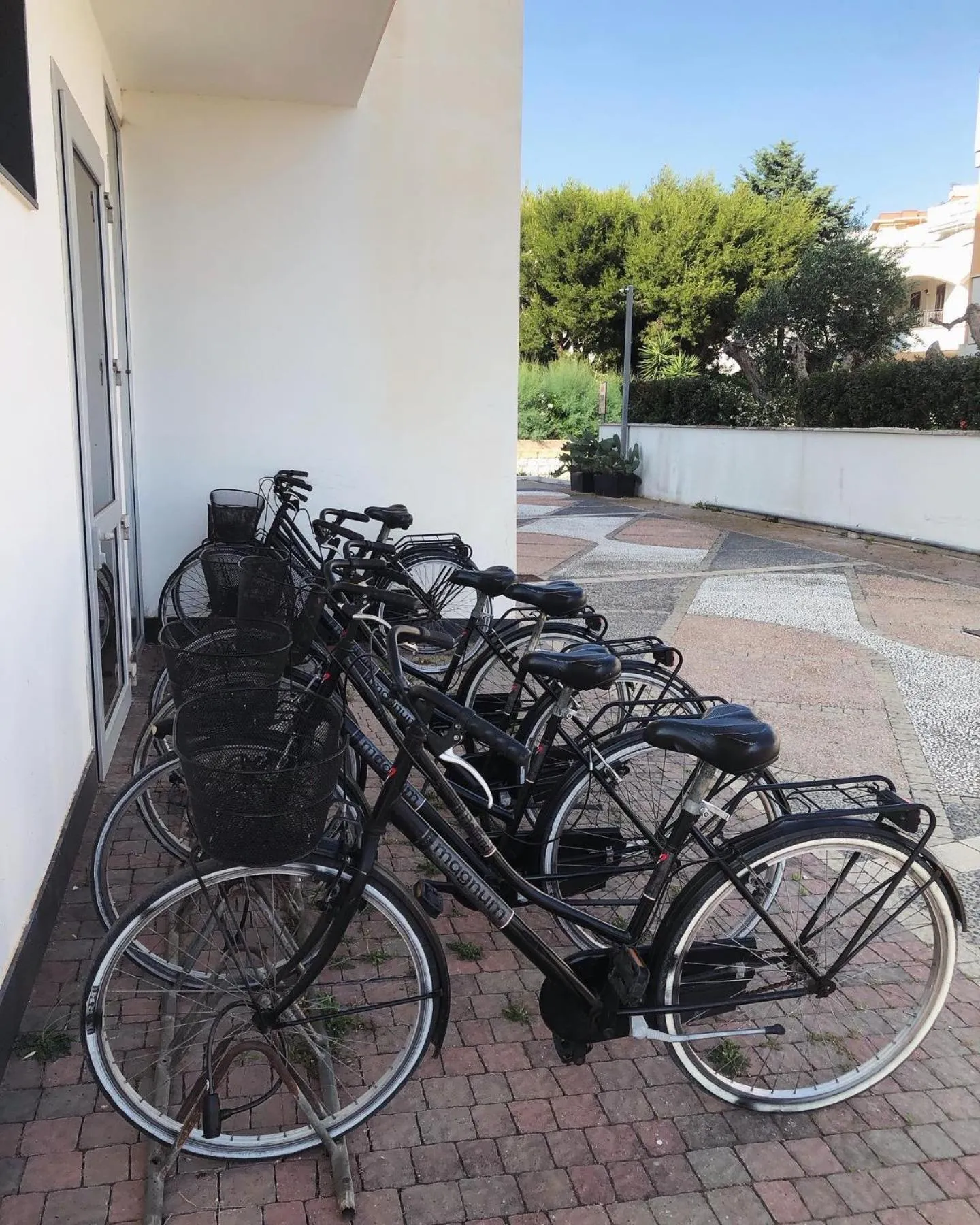 Cycling in Hotel Zodiaco