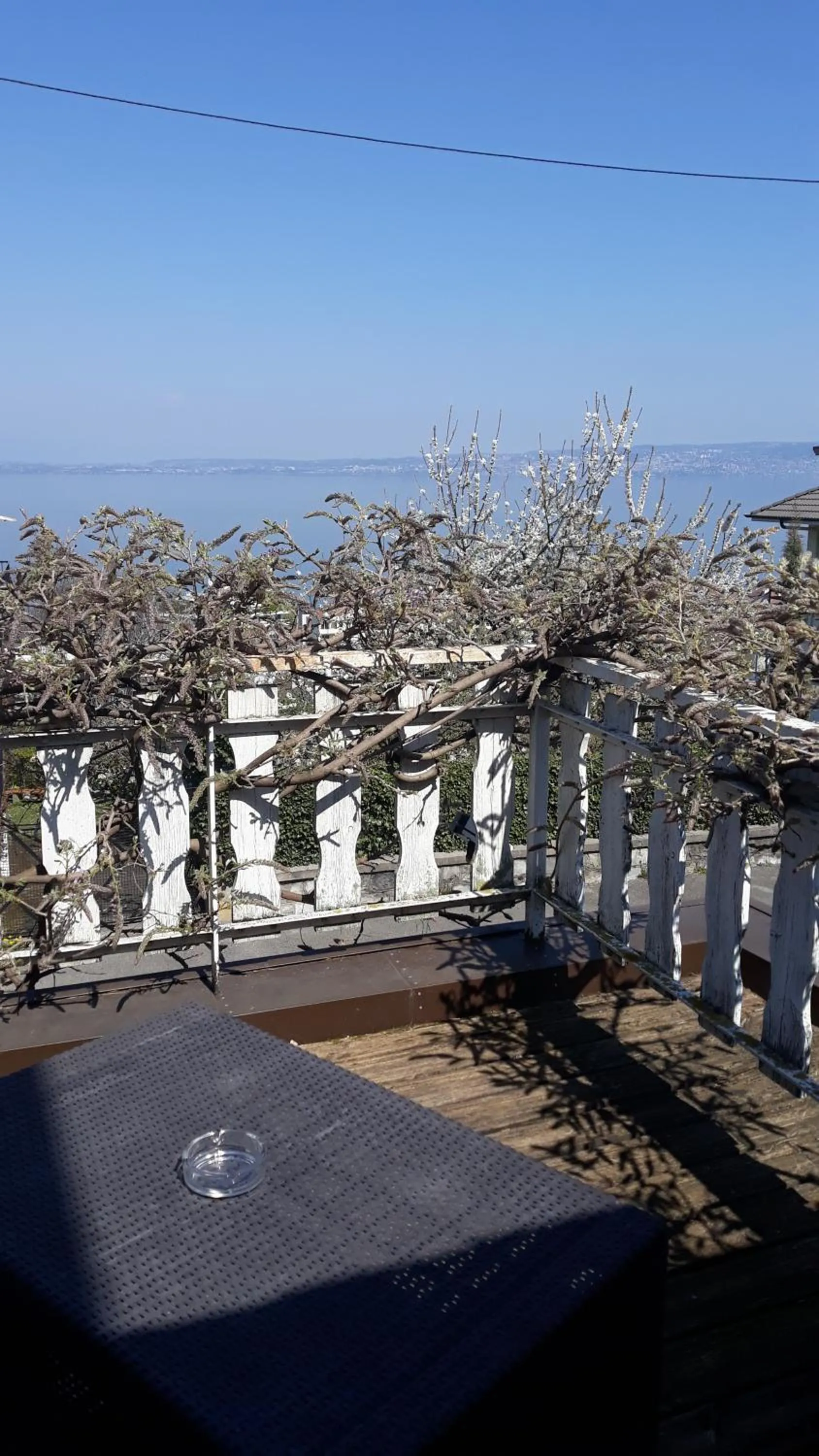 View (from property/room) in L'Oasis