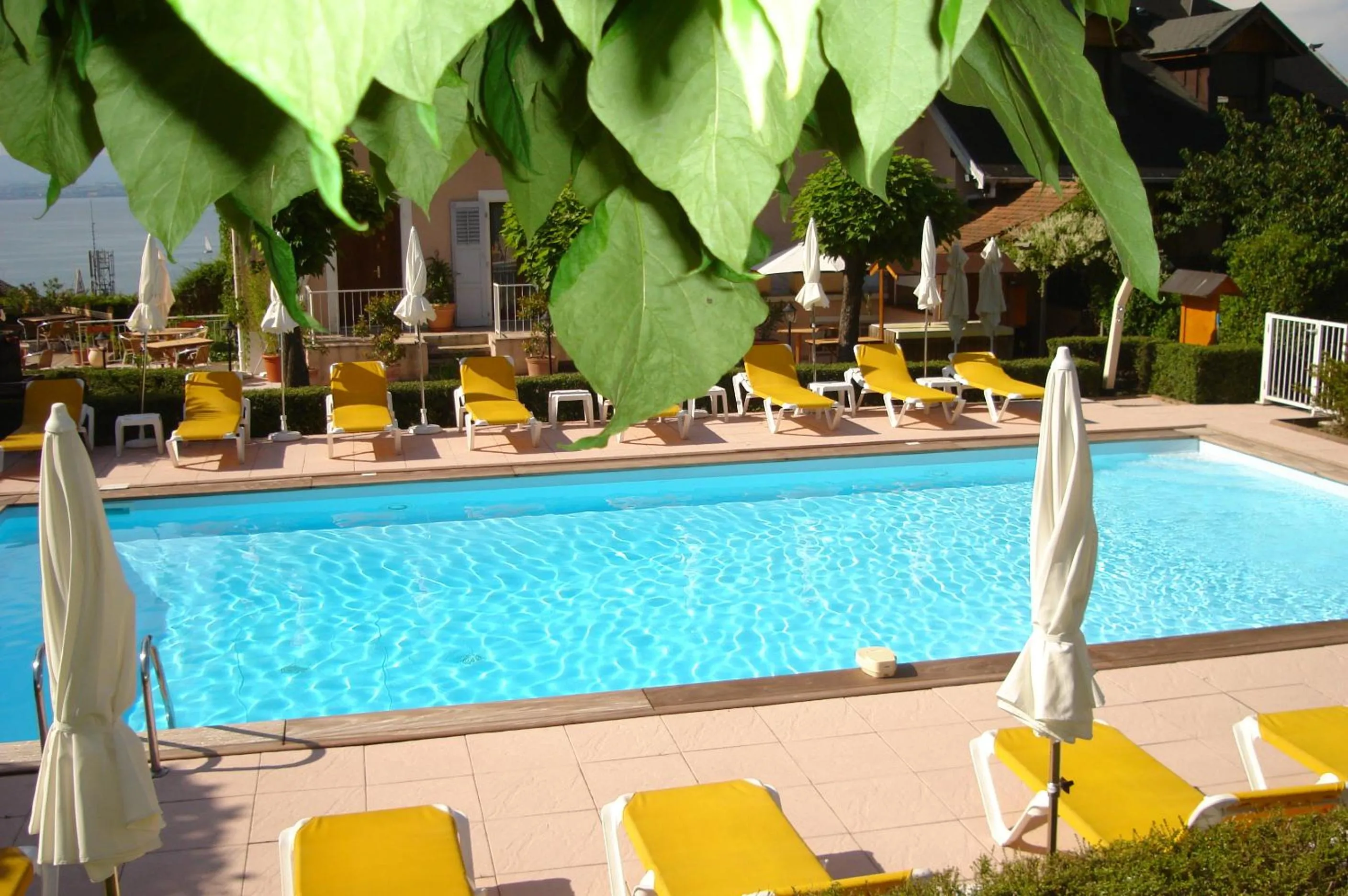 Spring in L'Oasis
