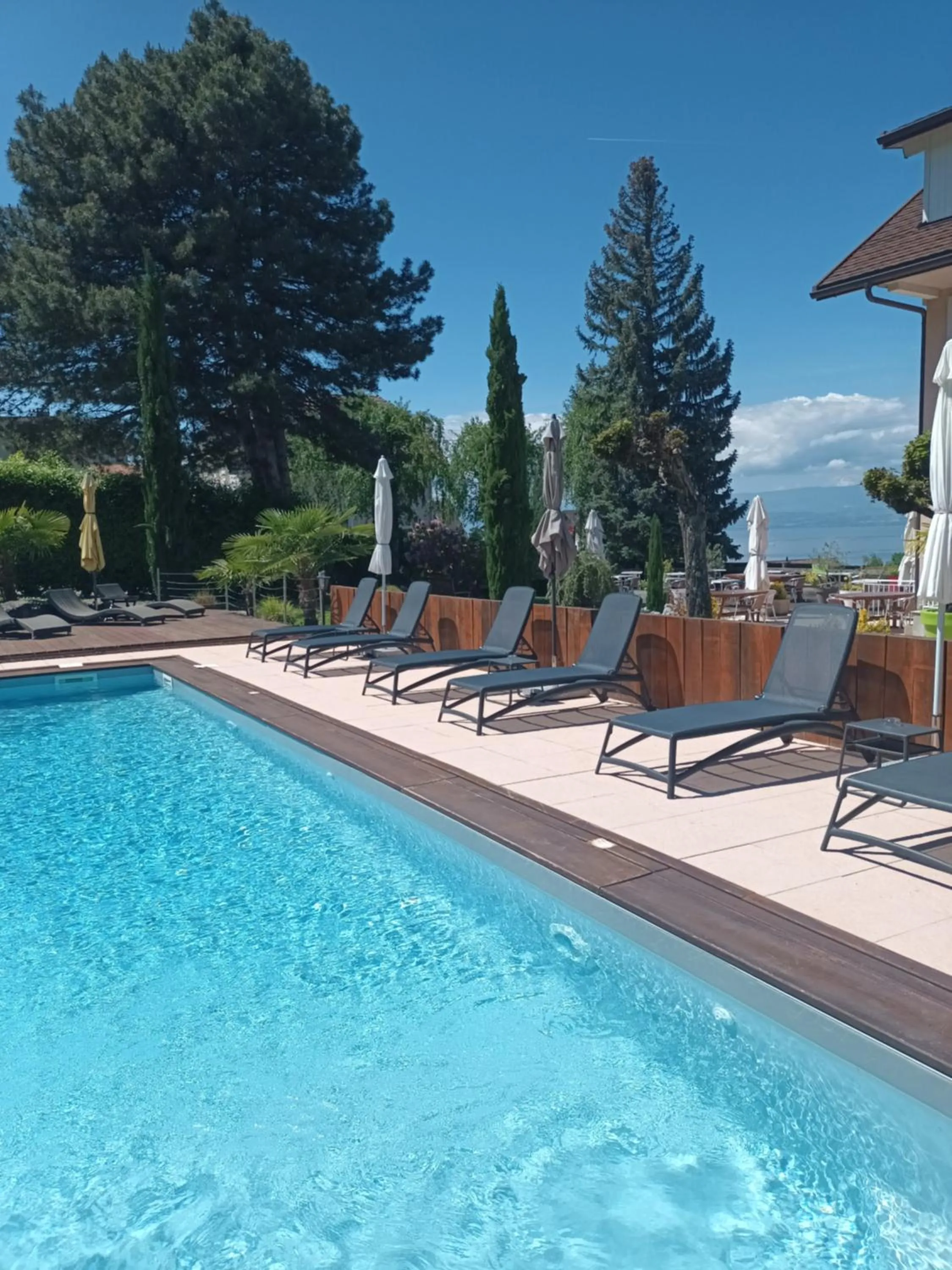 Swimming pool in L'Oasis