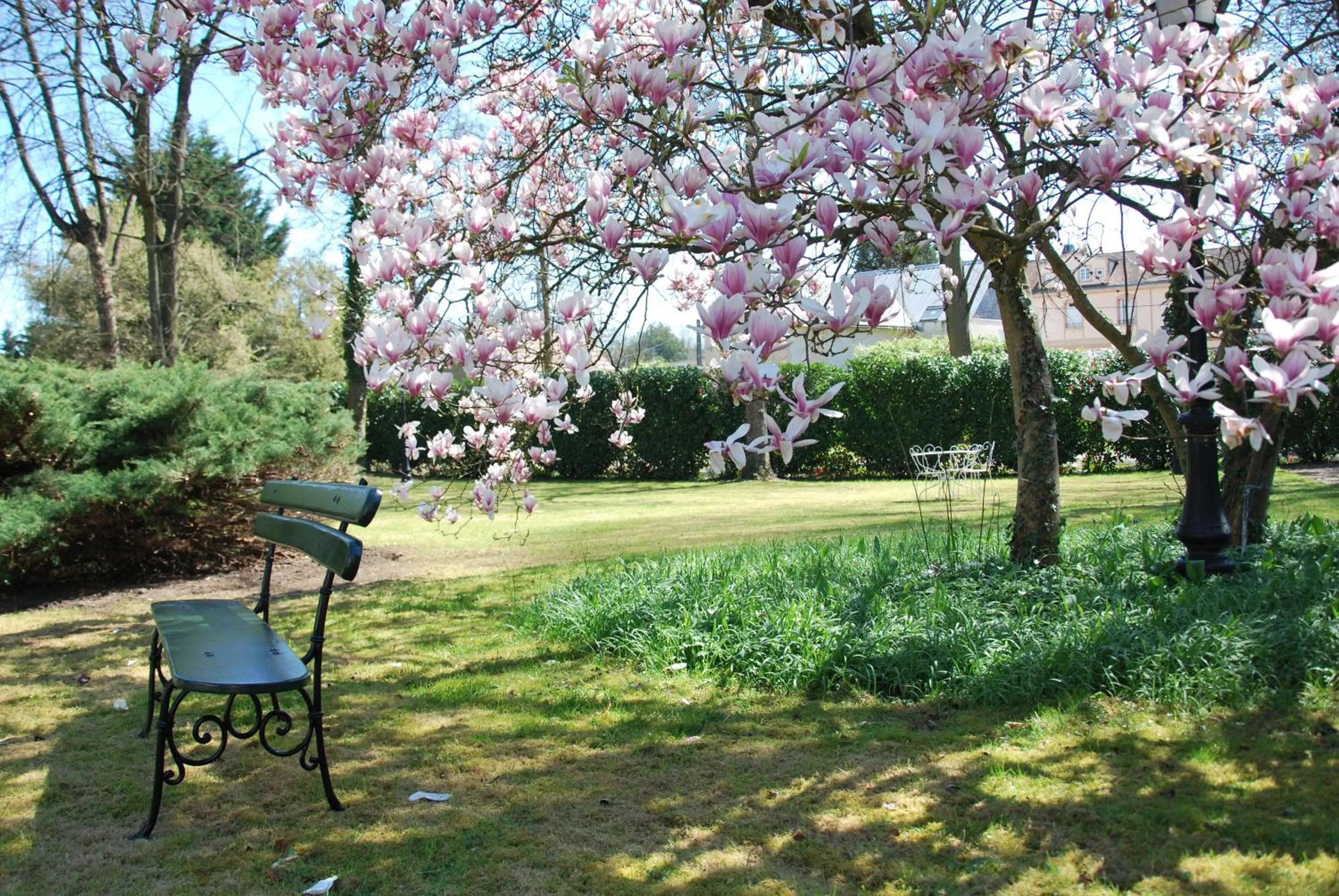 Garden in Le Clos De Bourgogne