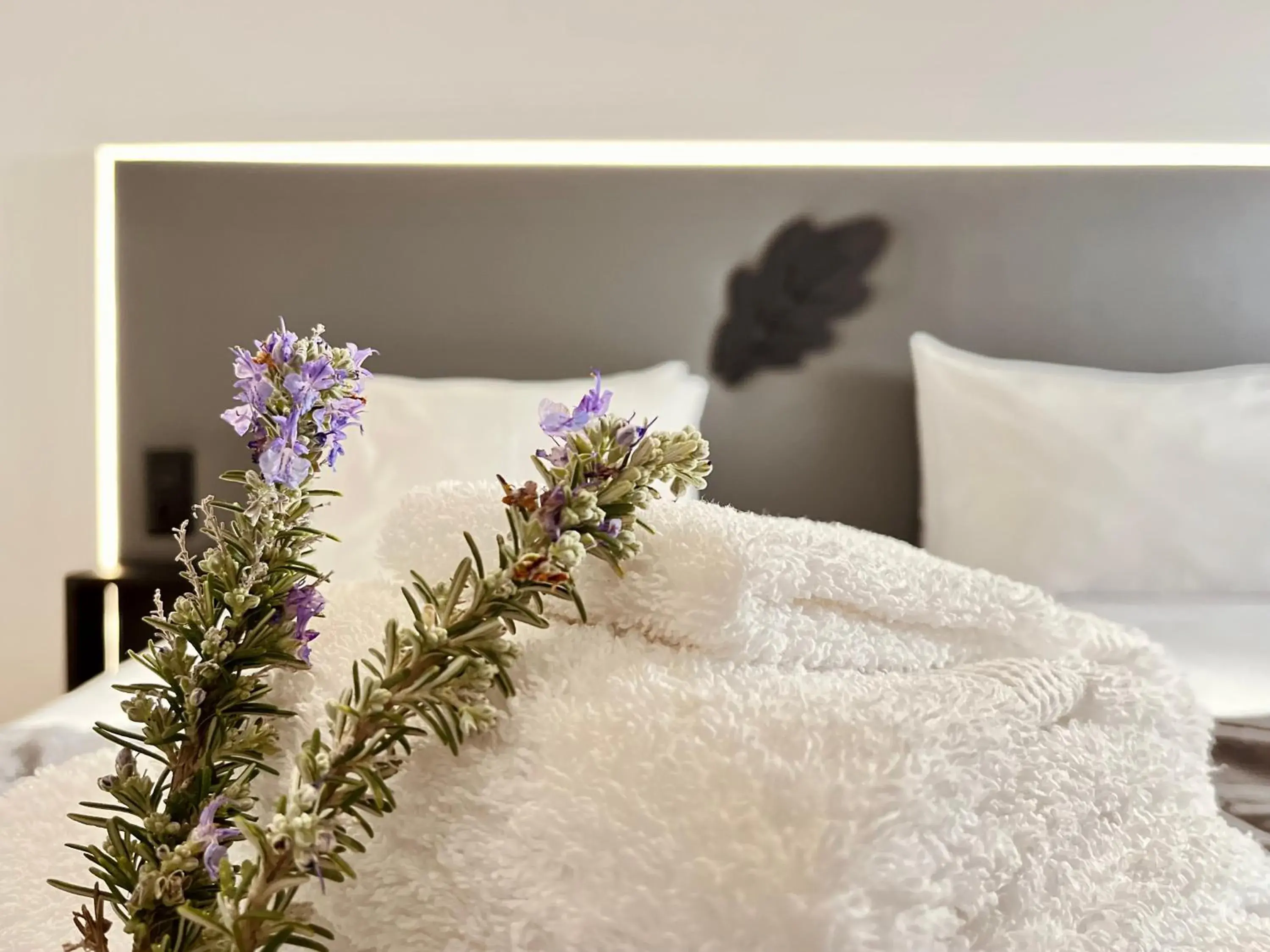 Deluxe Room in BHDouro Deluxe Room in BHDouro