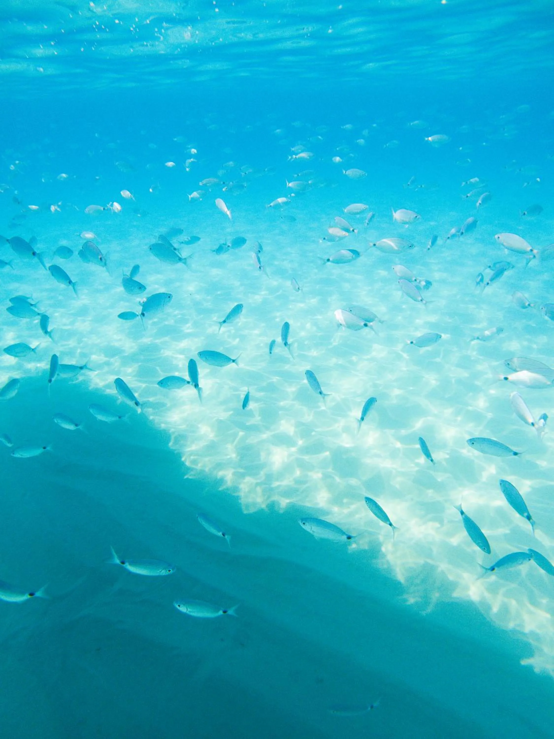 Beach in Midenza Seaside & Nature Retreat