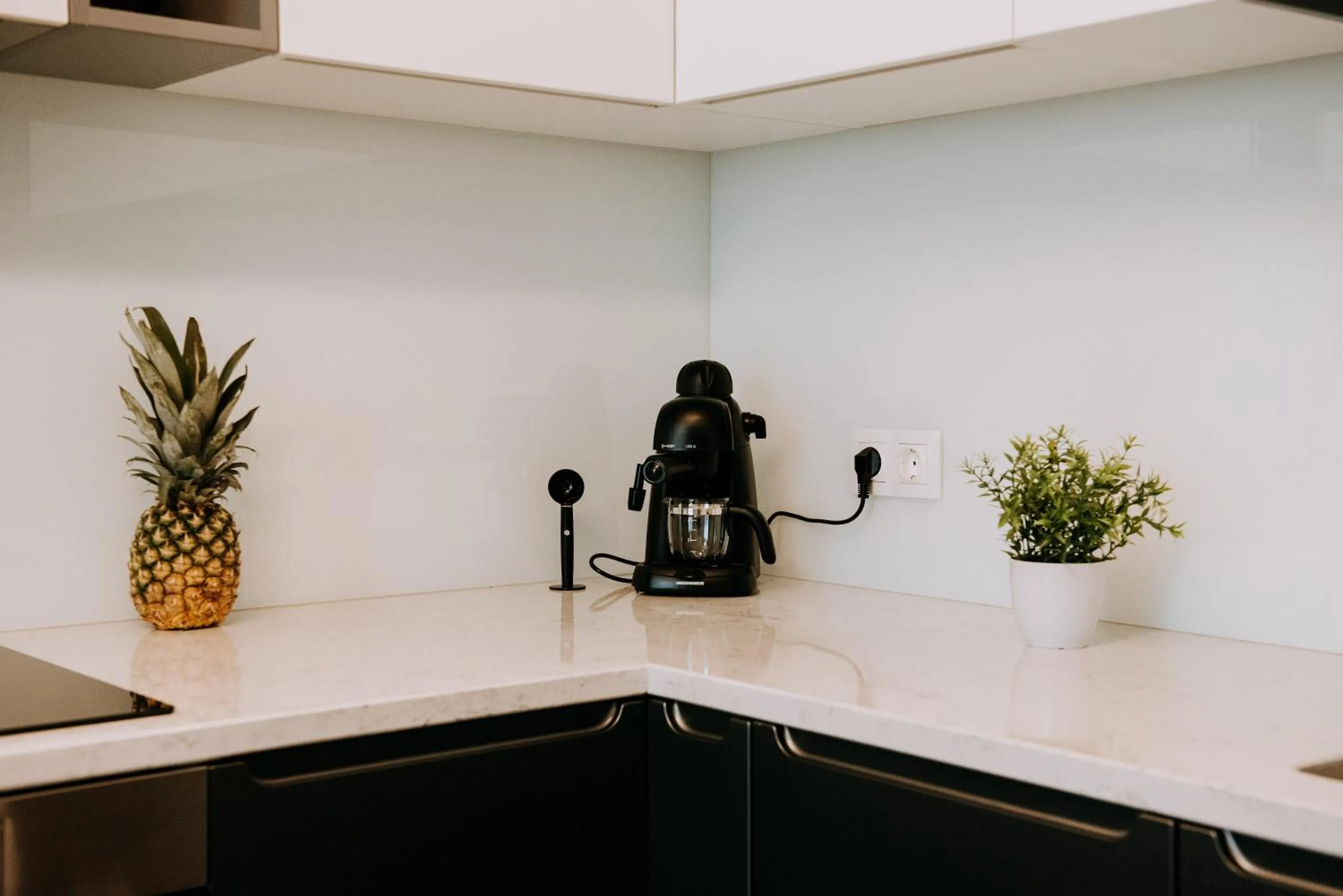 ZEN Central Apartments