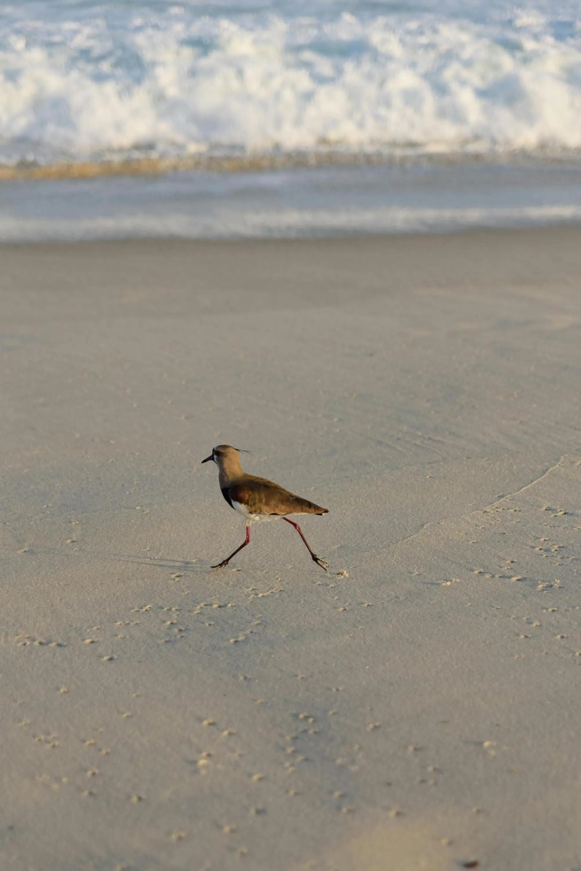 Nearby landmark in Virtu Suites