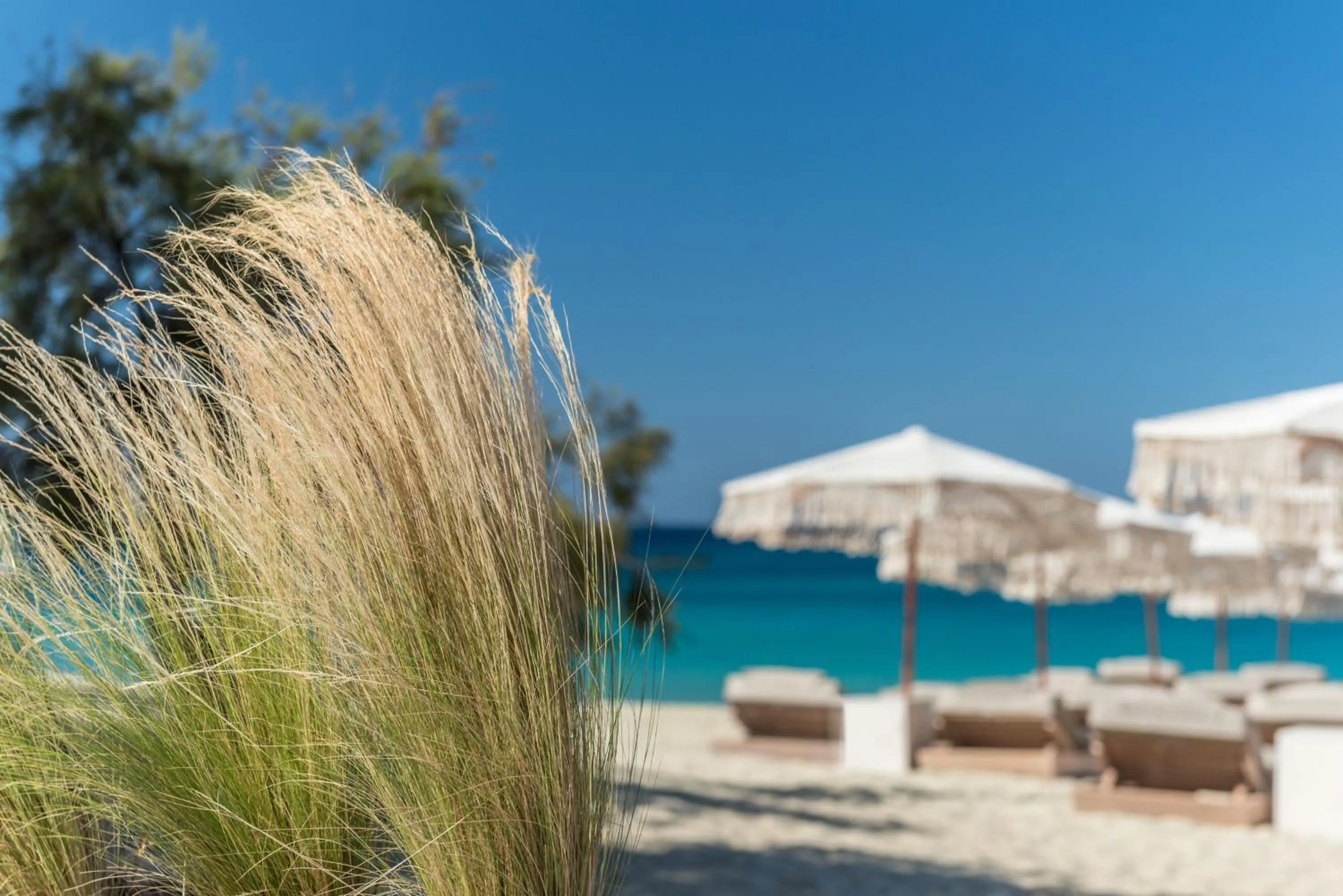 Nearby landmark in Virtu Suites