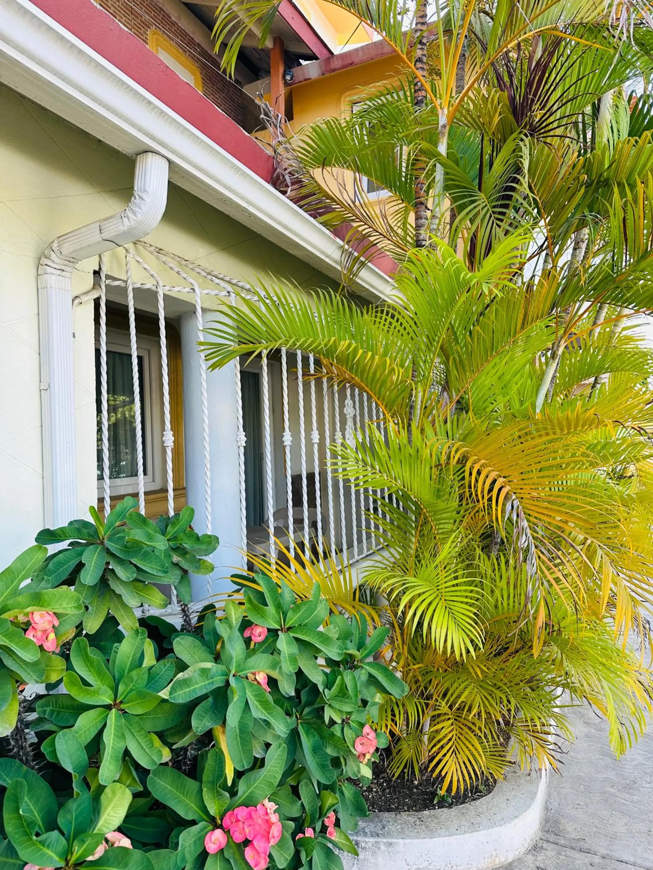 Day in Aparthotel Michaela