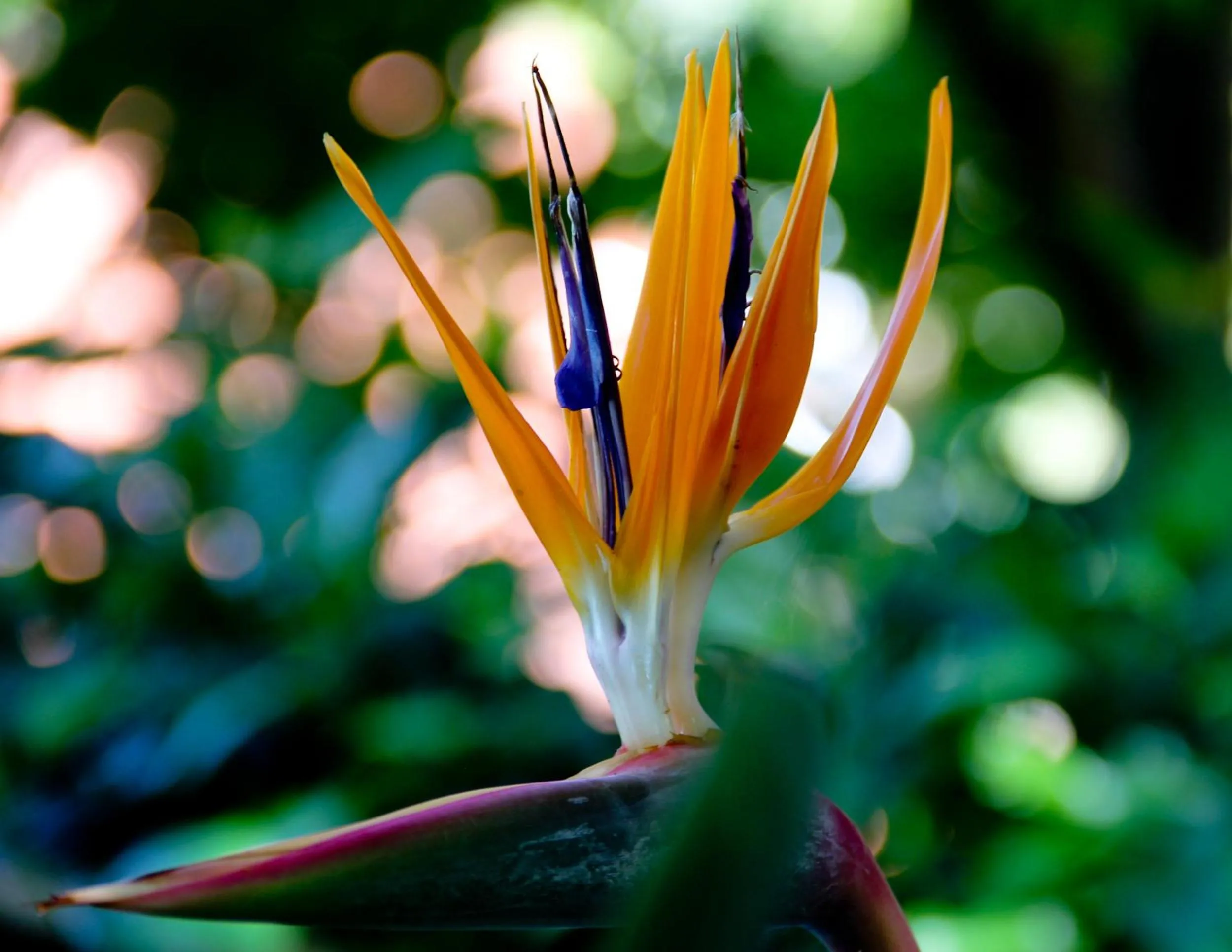 Pousada Aquarela de Bombinhas