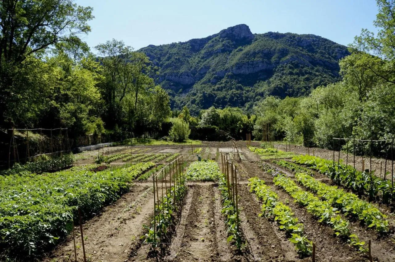 Garden in Châteauzen