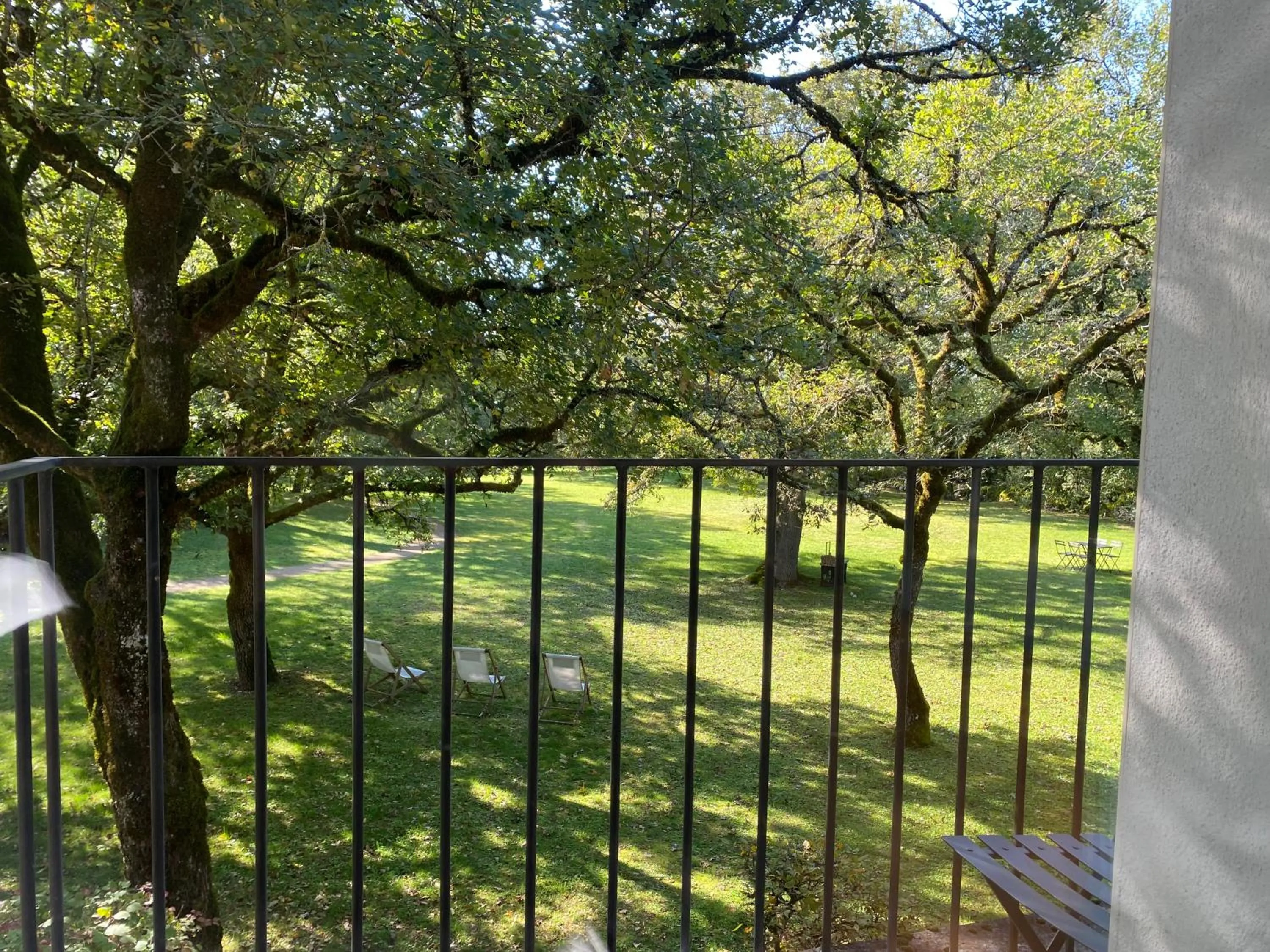 Balcony/Terrace in Hôtel Les Esclargies
