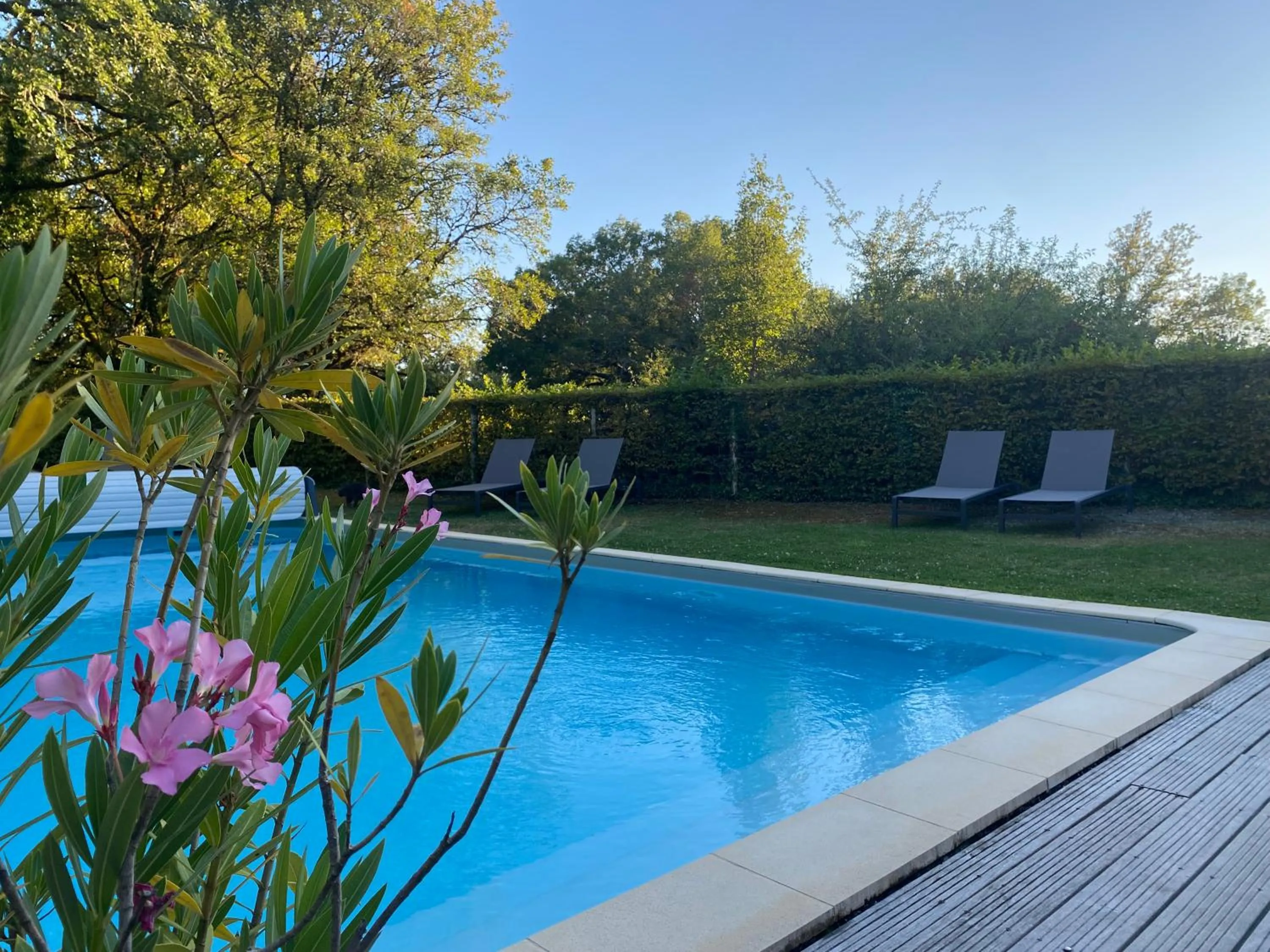 Garden in Hôtel Les Esclargies