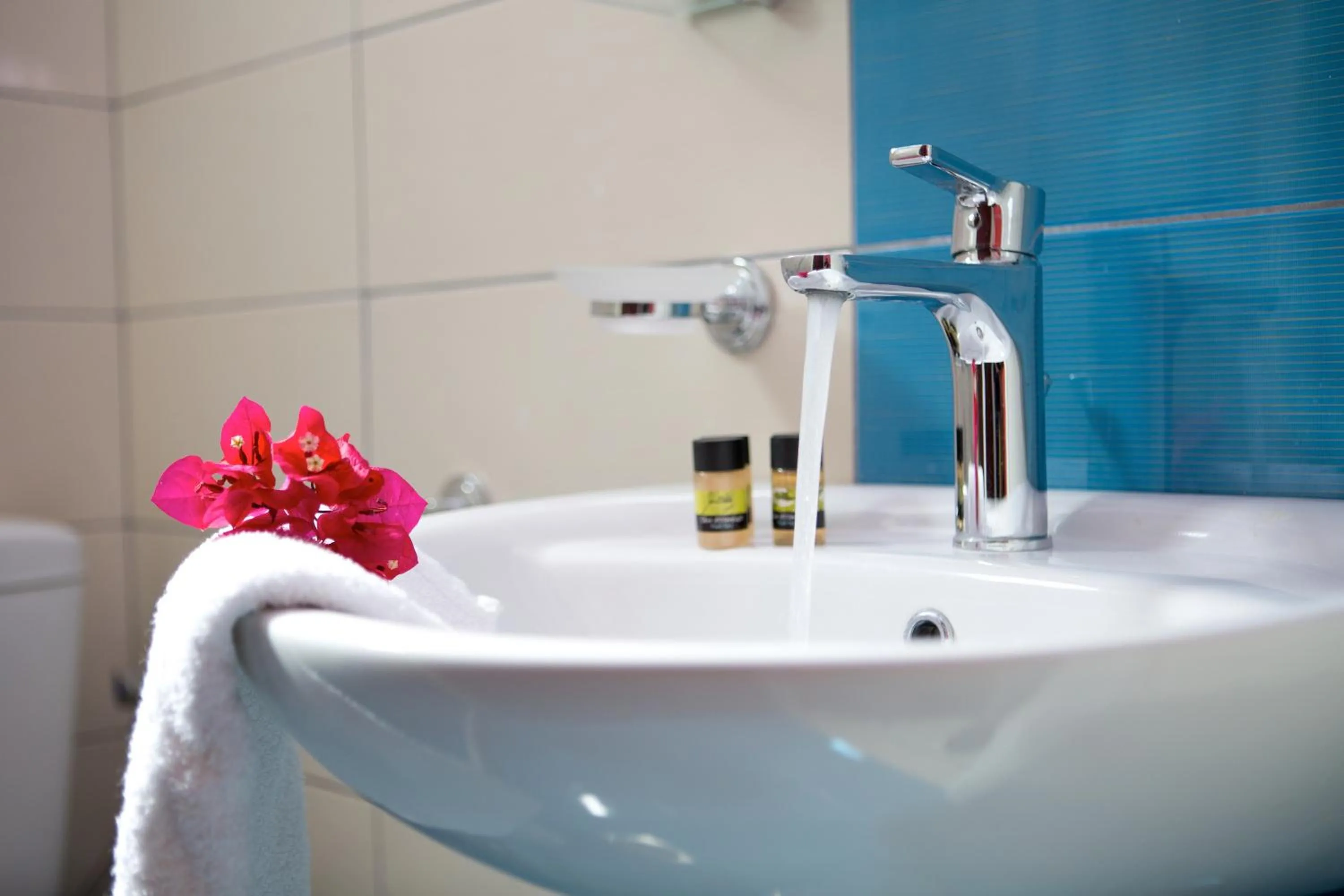 Bathroom in Jimmy's House
