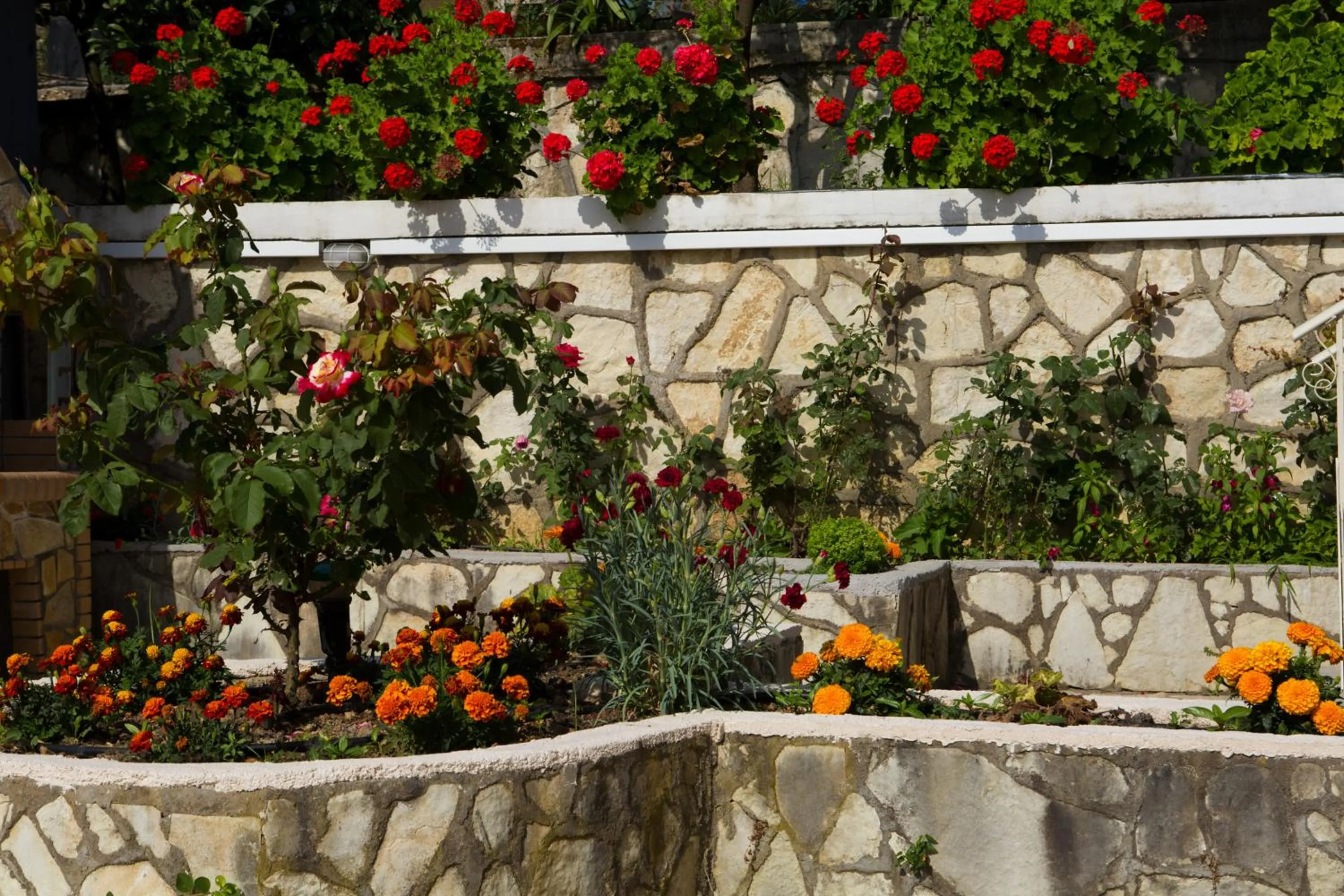 Garden in Jimmy's House