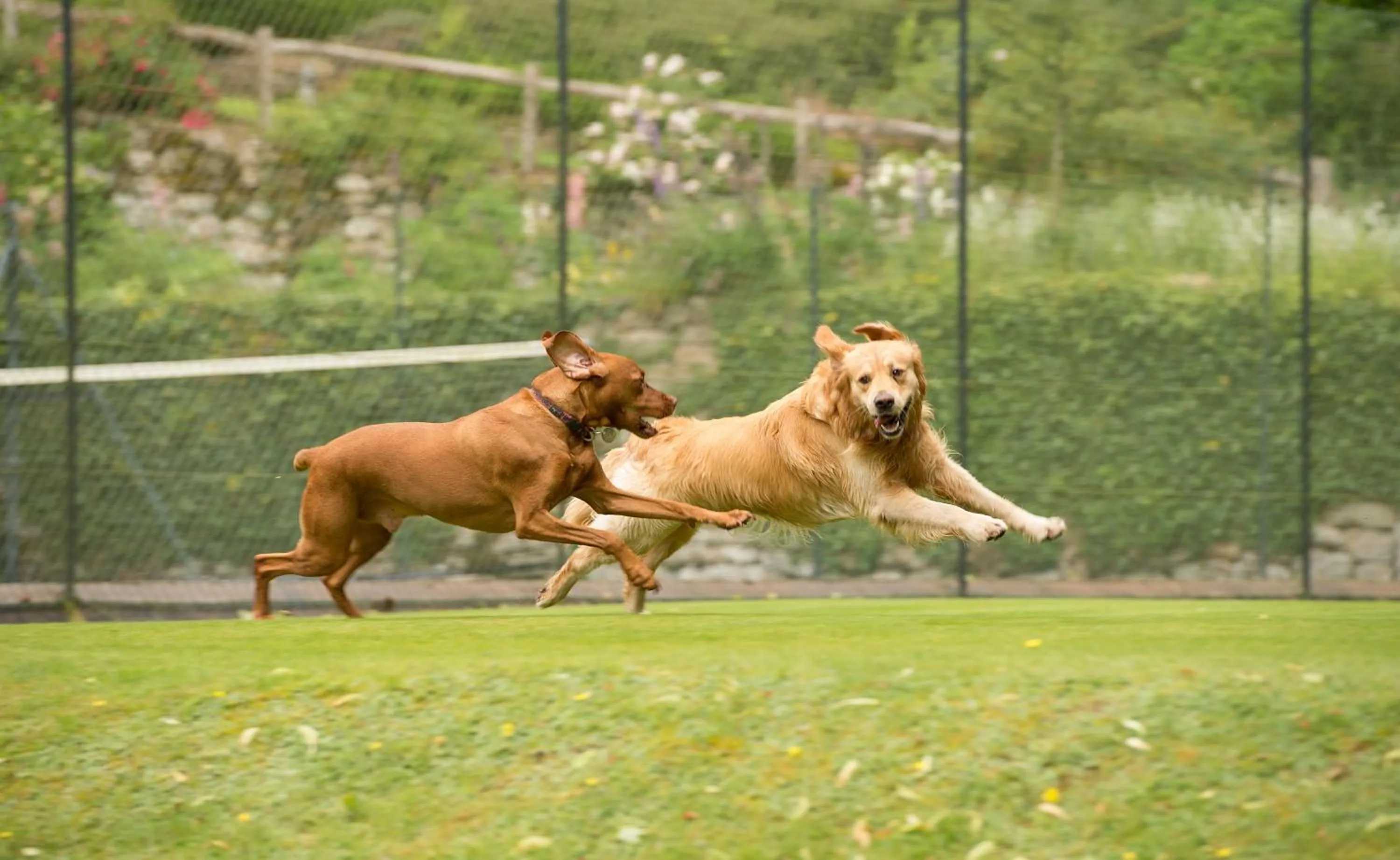 Day in Gidleigh Park- A Relais & Chateaux Hotel