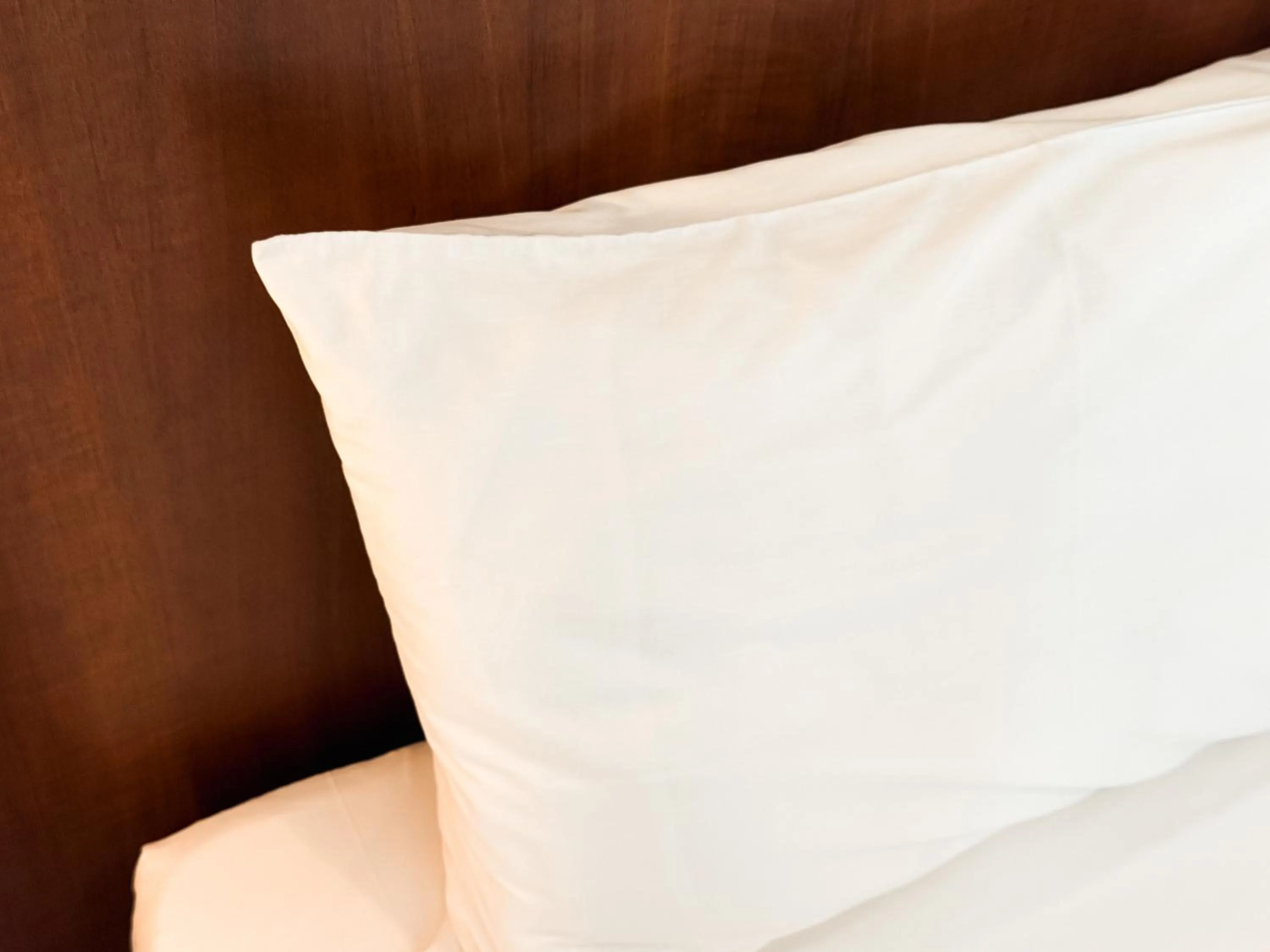 Bed in Hotel Cianorte Diamond