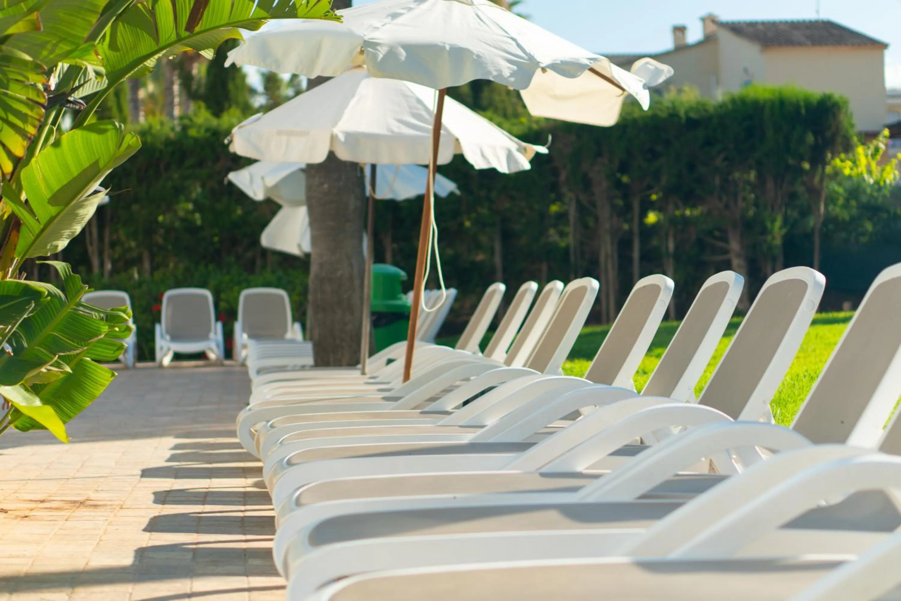 Garden in Tropicana Hotel