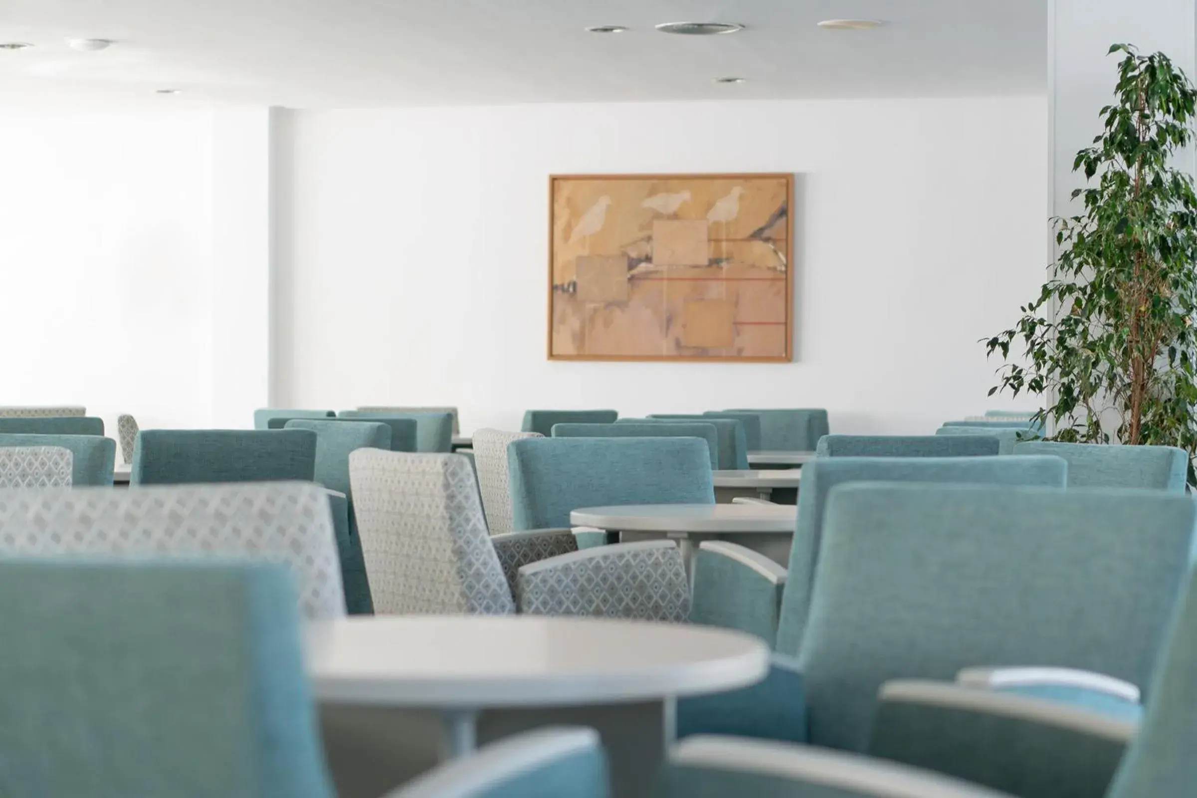 Lounge or bar in Tropicana Hotel Lounge or bar in Tropicana Hotel