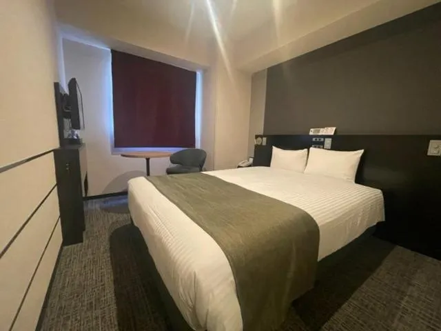 【Short Stay】Double Room - single occupancy - Non-Smoking (17:00 Check in) in Hotel Villa Fontaine Tokyo-Kudanshita