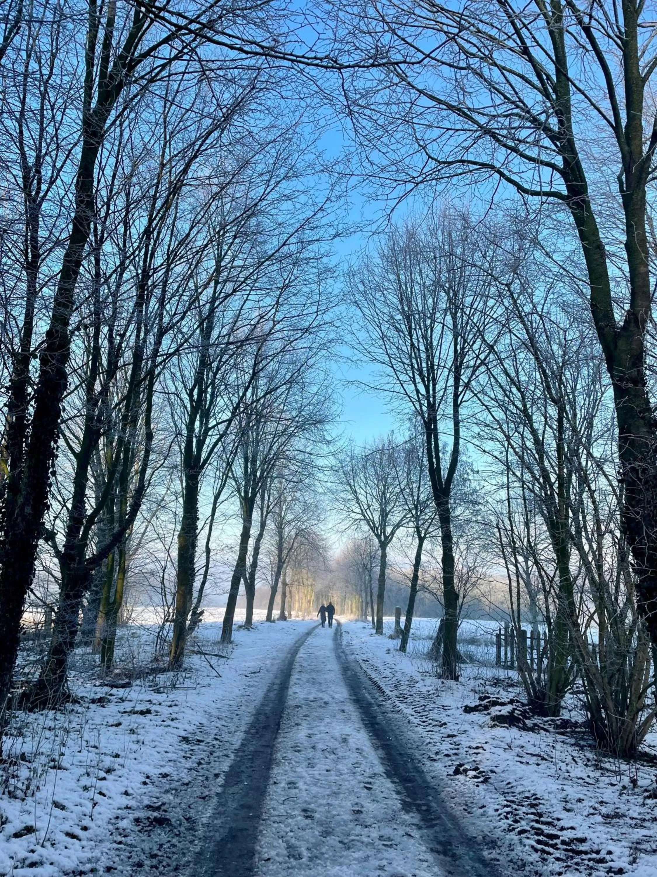 Hiking in Hotond Sporthotel