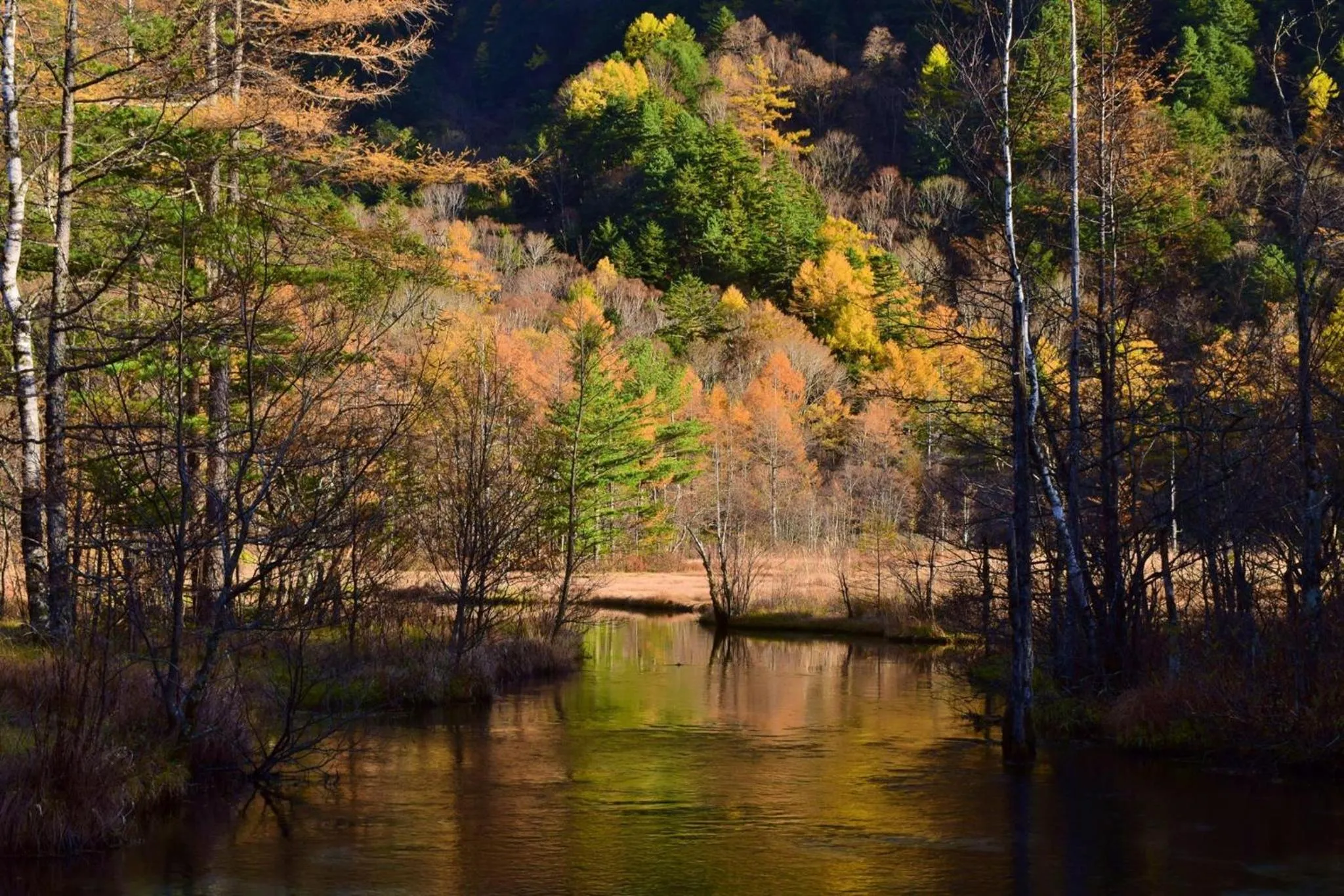 Kamikochi Lemeiesta Hotel