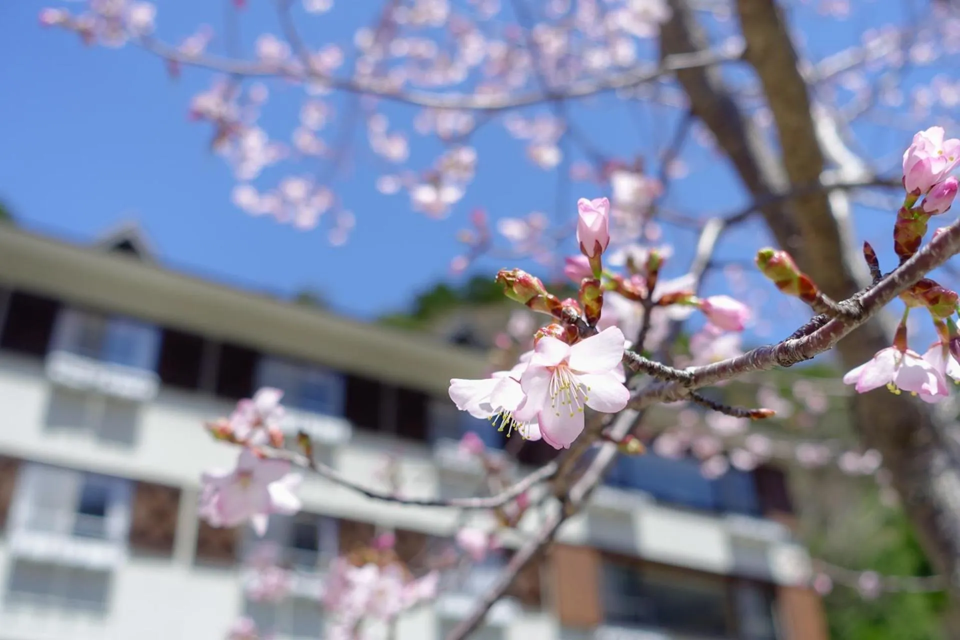 Kamikochi Lemeiesta Hotel